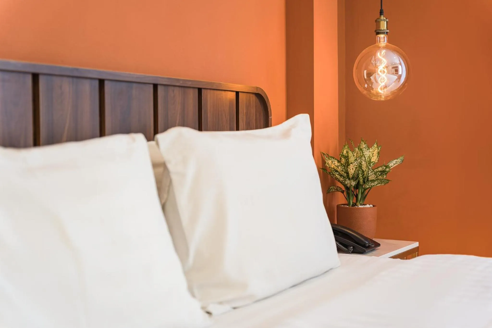 C o r o n a Hanoi House