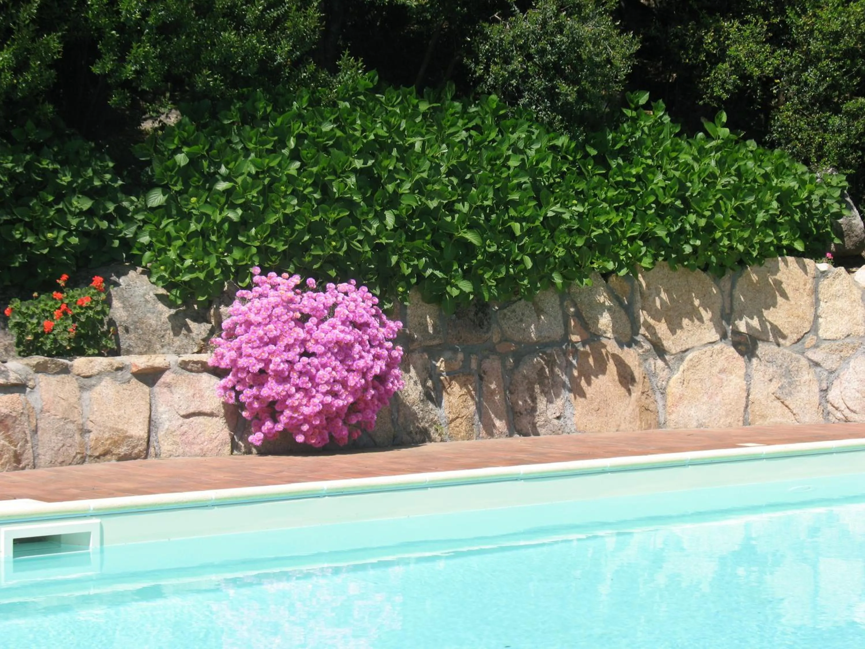 Swimming pool in Hotel San Trano