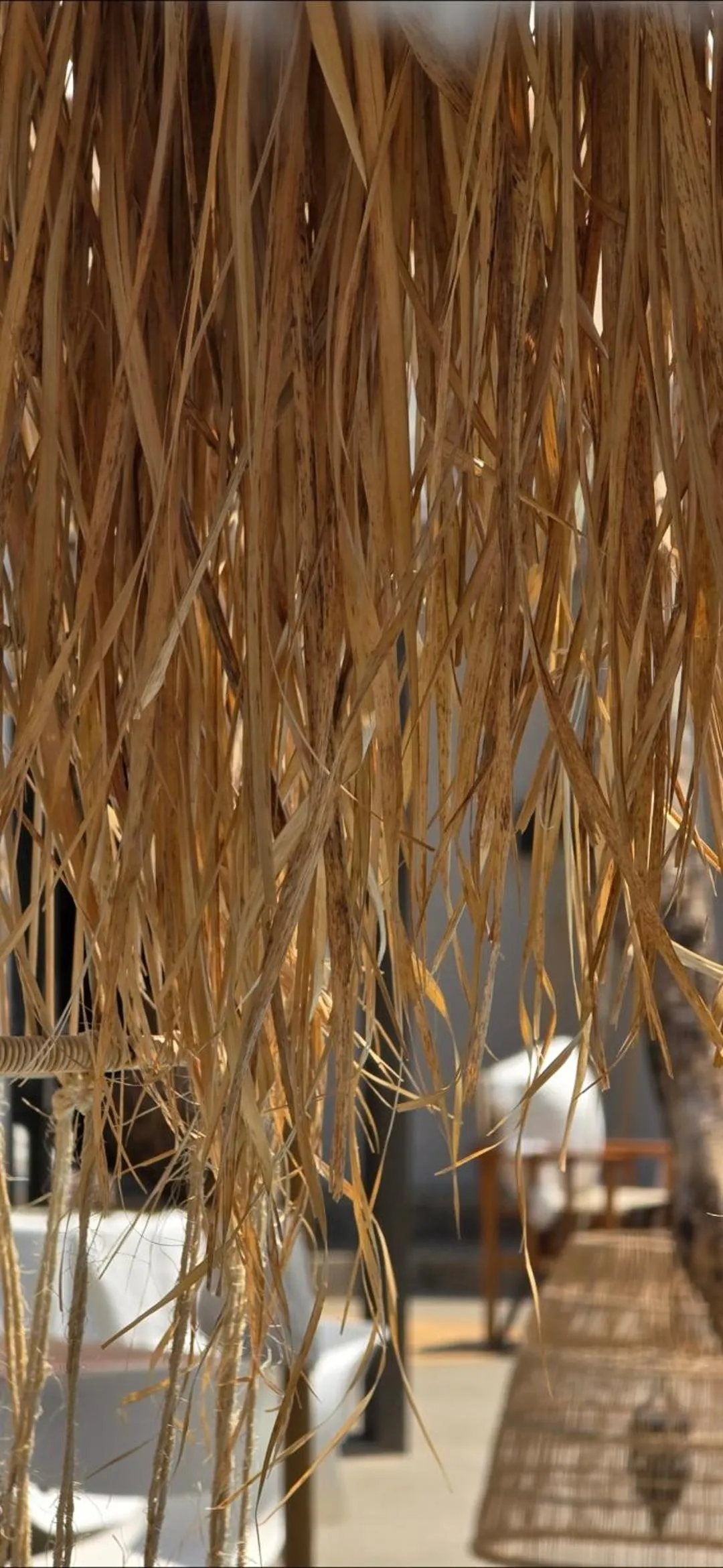 Day in African Flair Boutique Safari Lodge