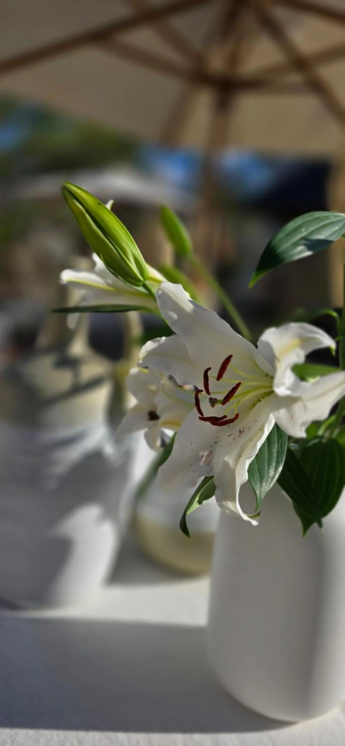 Decorative detail in African Flair Boutique Safari Lodge