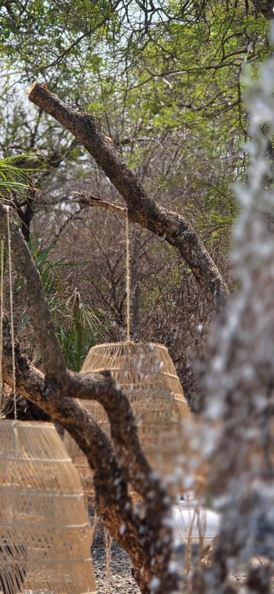 Natural landscape in African Flair Boutique Safari Lodge