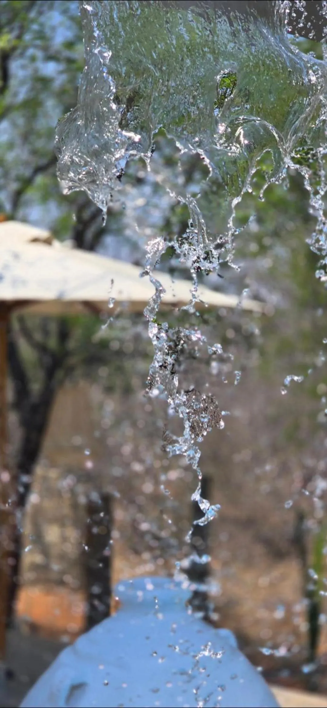 Natural landscape in African Flair Boutique Safari Lodge