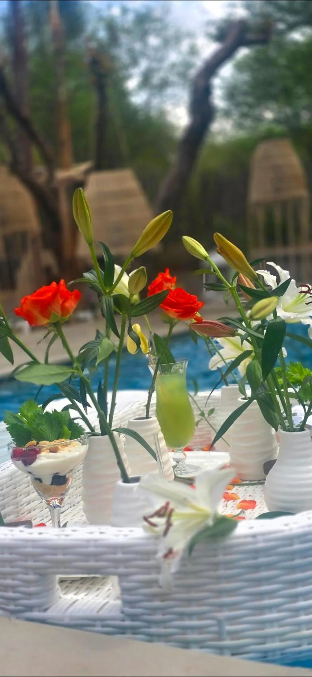 Garden view in African Flair Boutique Safari Lodge