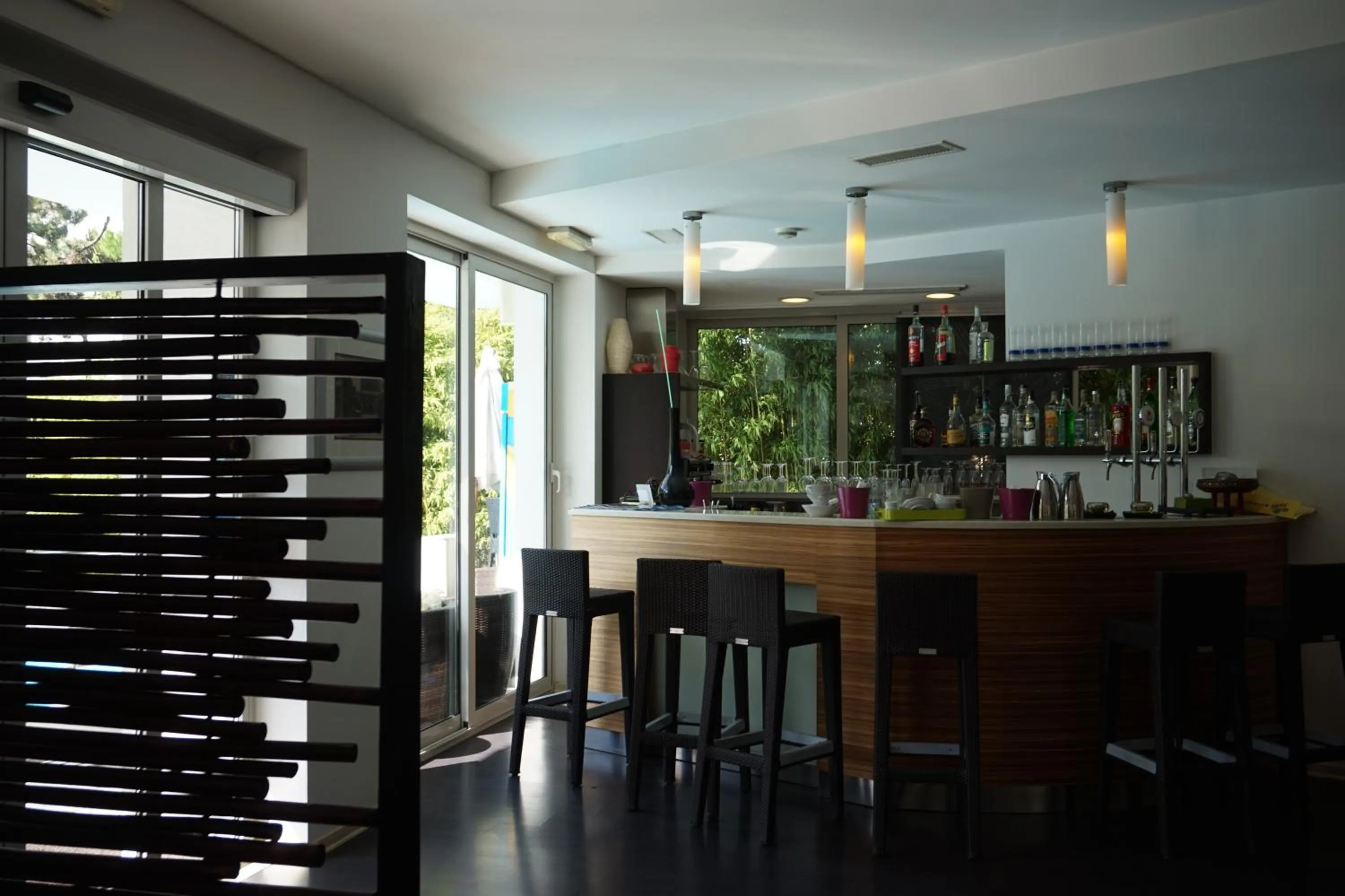 Lounge or bar in Hotel Anapaya