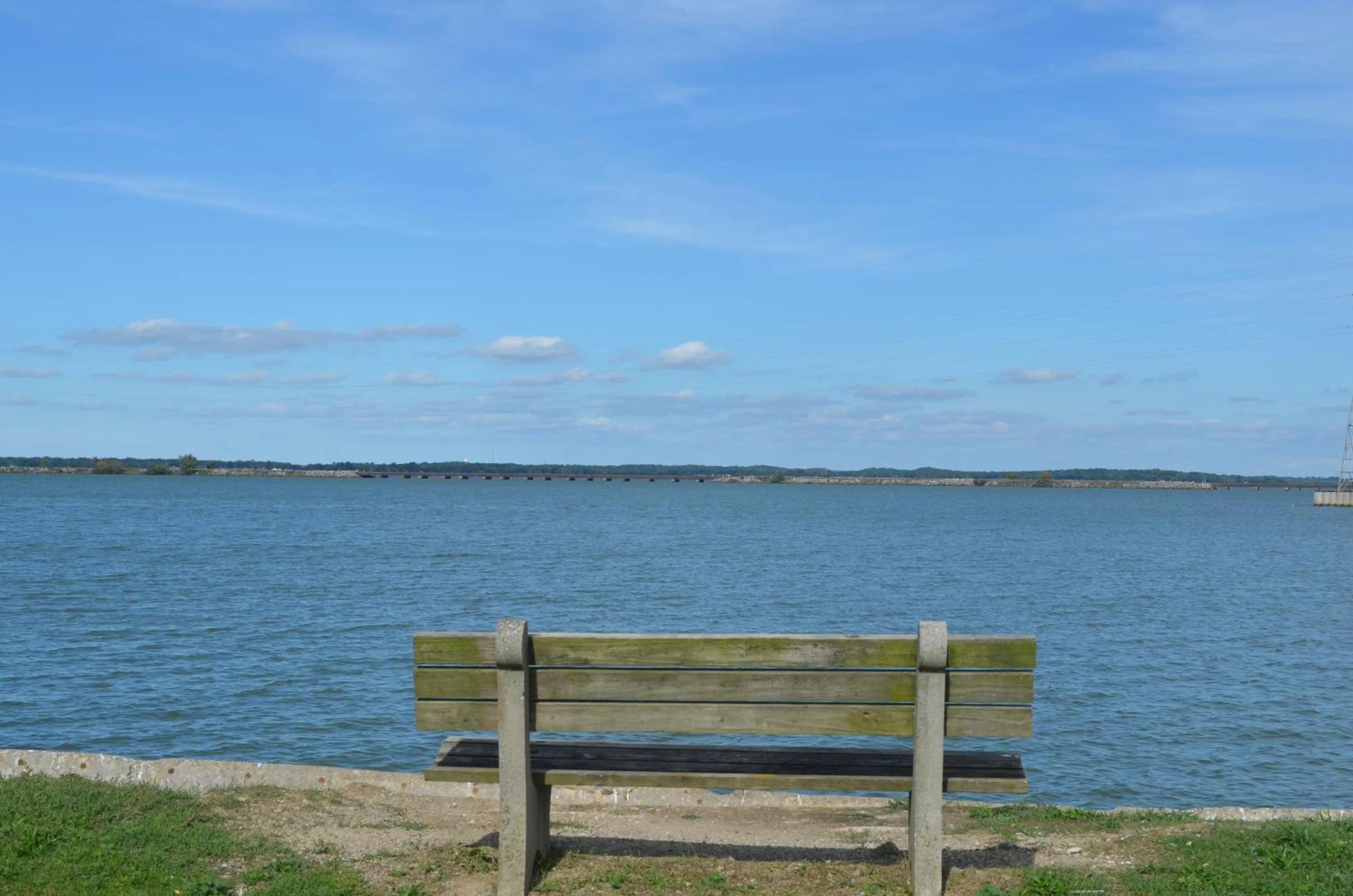Natural landscape in The Cedar Motel