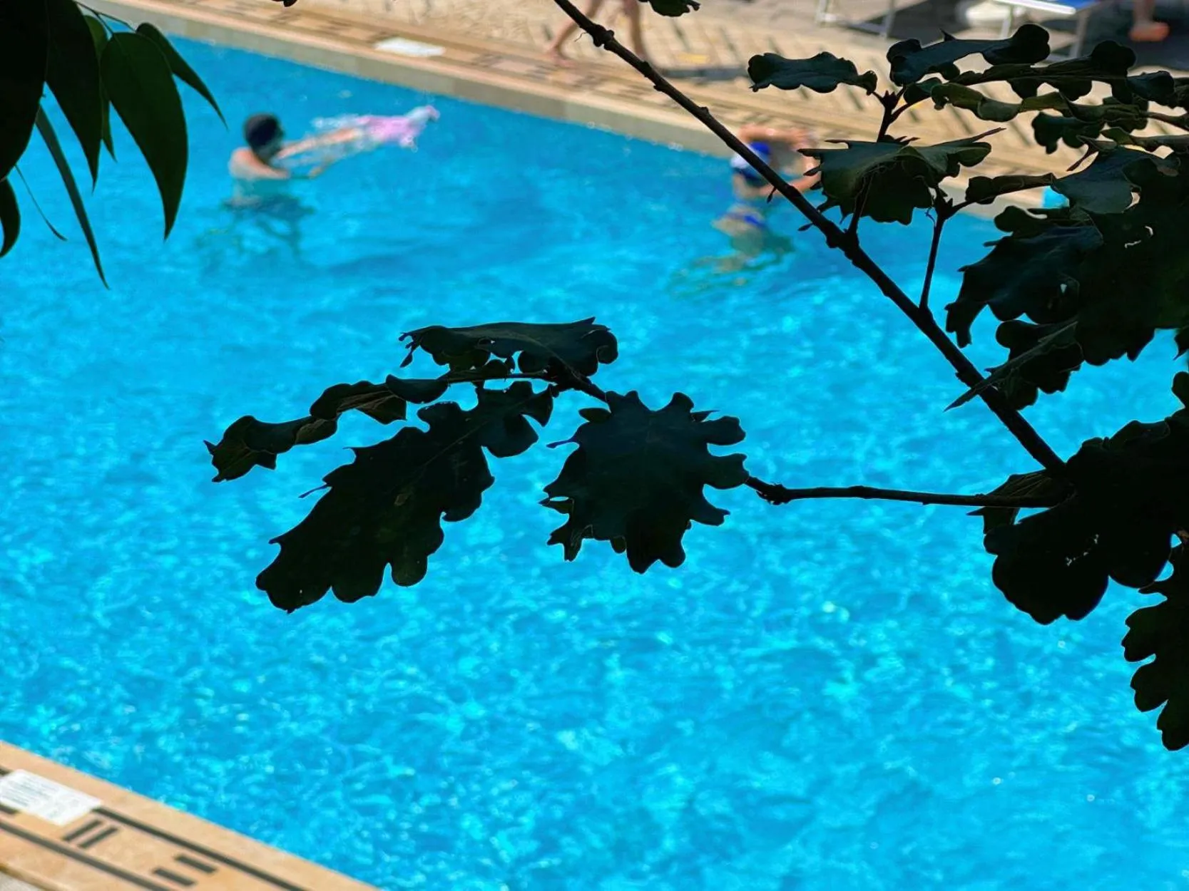 Pool view in Village Camping Santa Fortunata - Campogaio