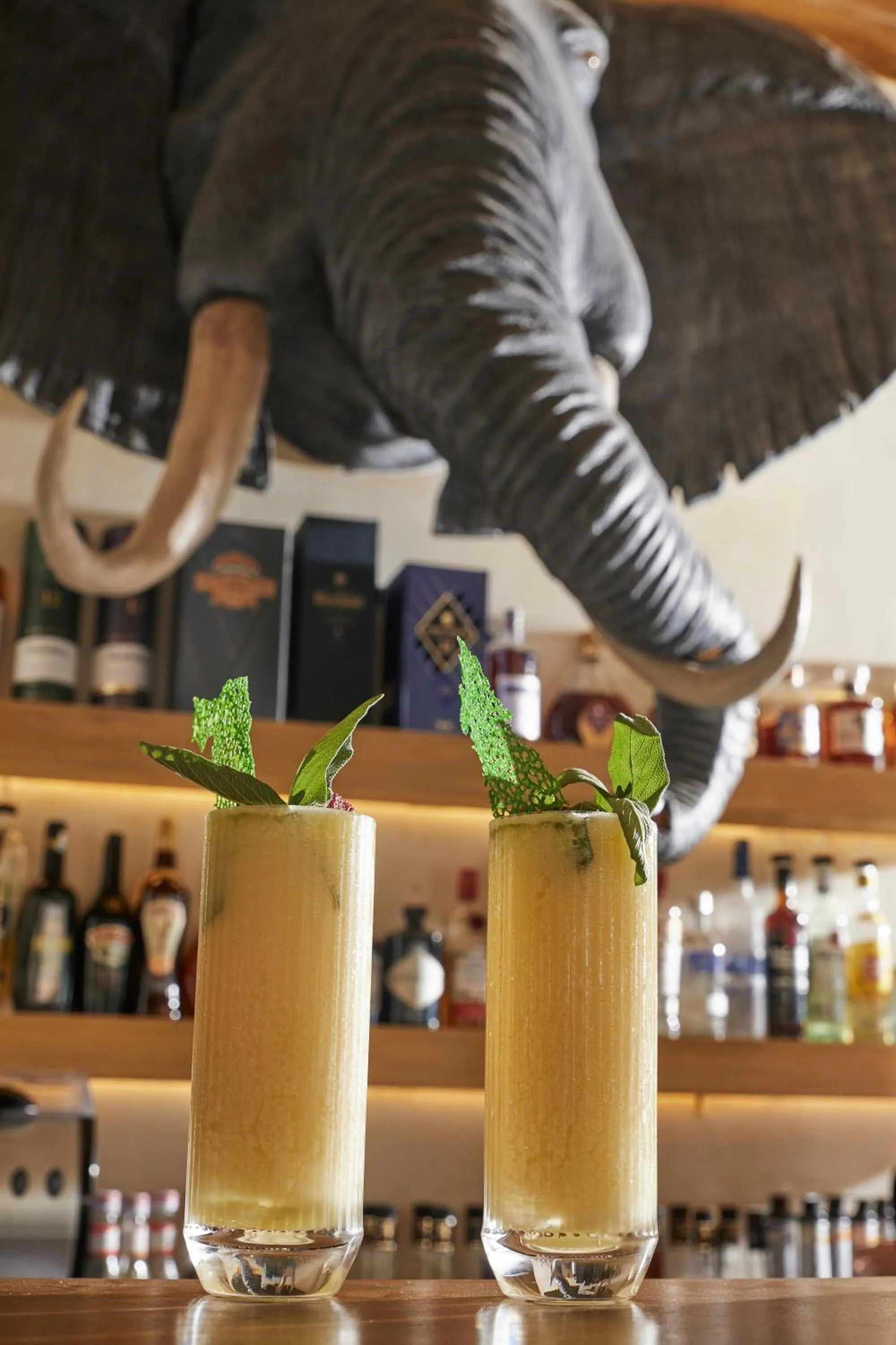 Alcoholic drinks in Rammos Managed By Dedeman