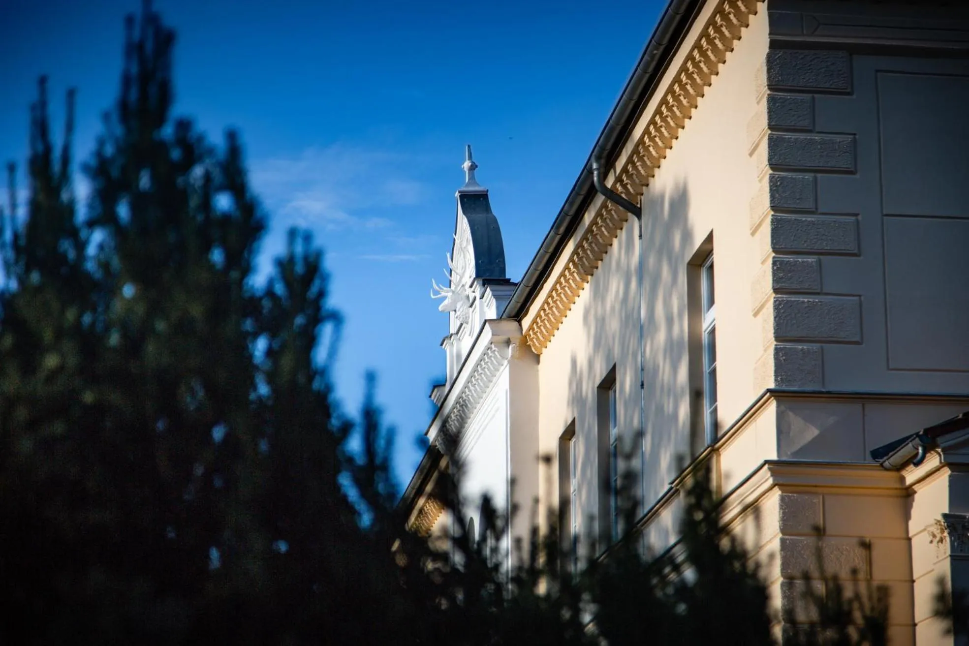 Property building in Landhotel Schloss Daschow