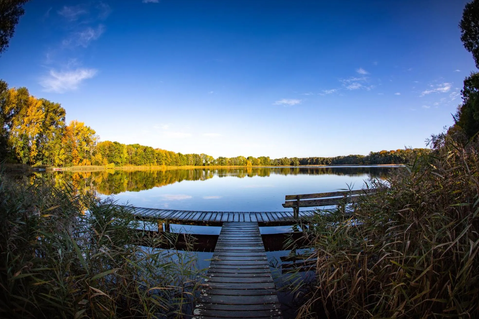 Garden in Landhotel Schloss Daschow