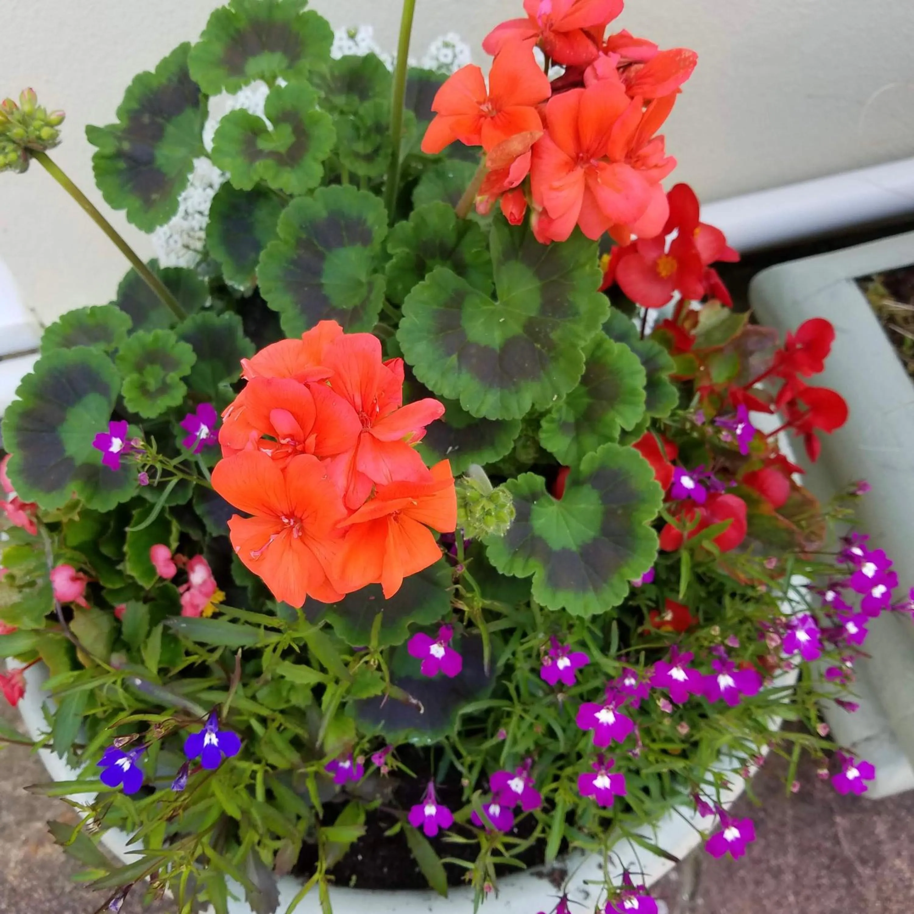 Garden in Eden's Rest Bed and Breakfast