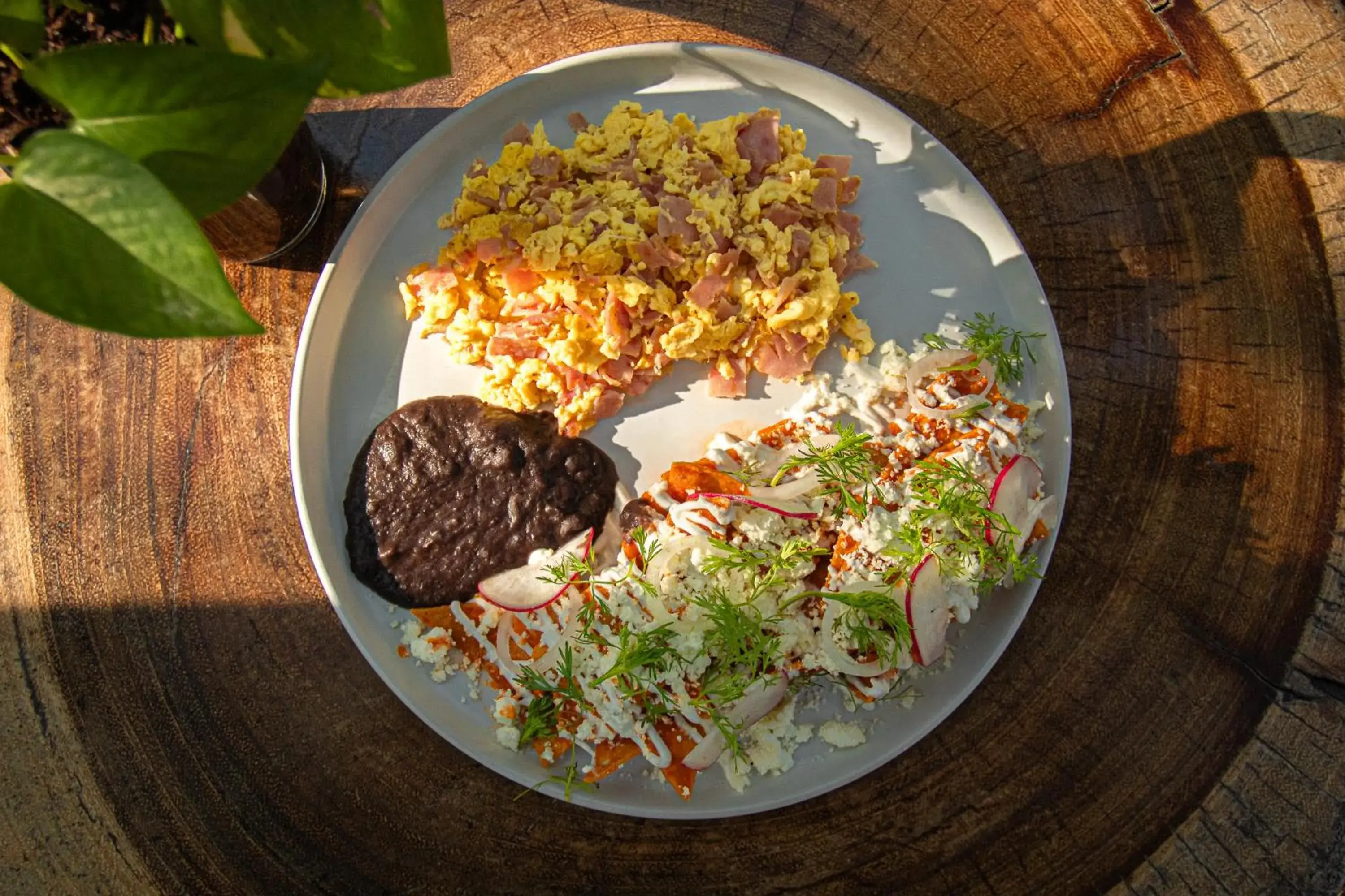 Restaurant/places to eat in The Yellow Nest Tulum Restaurant/places to eat in The Yellow Nest Tulum