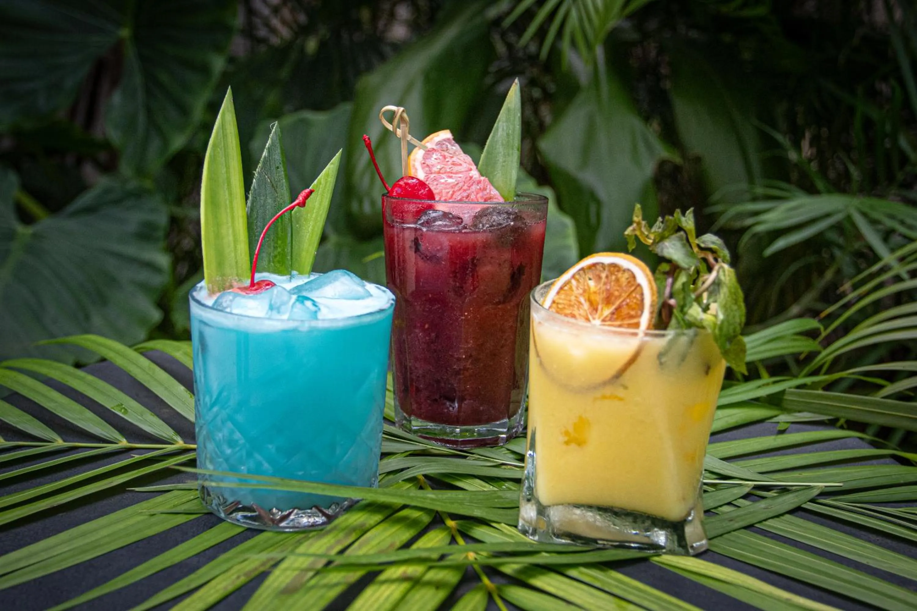 Restaurant/places to eat in The Yellow Nest Tulum