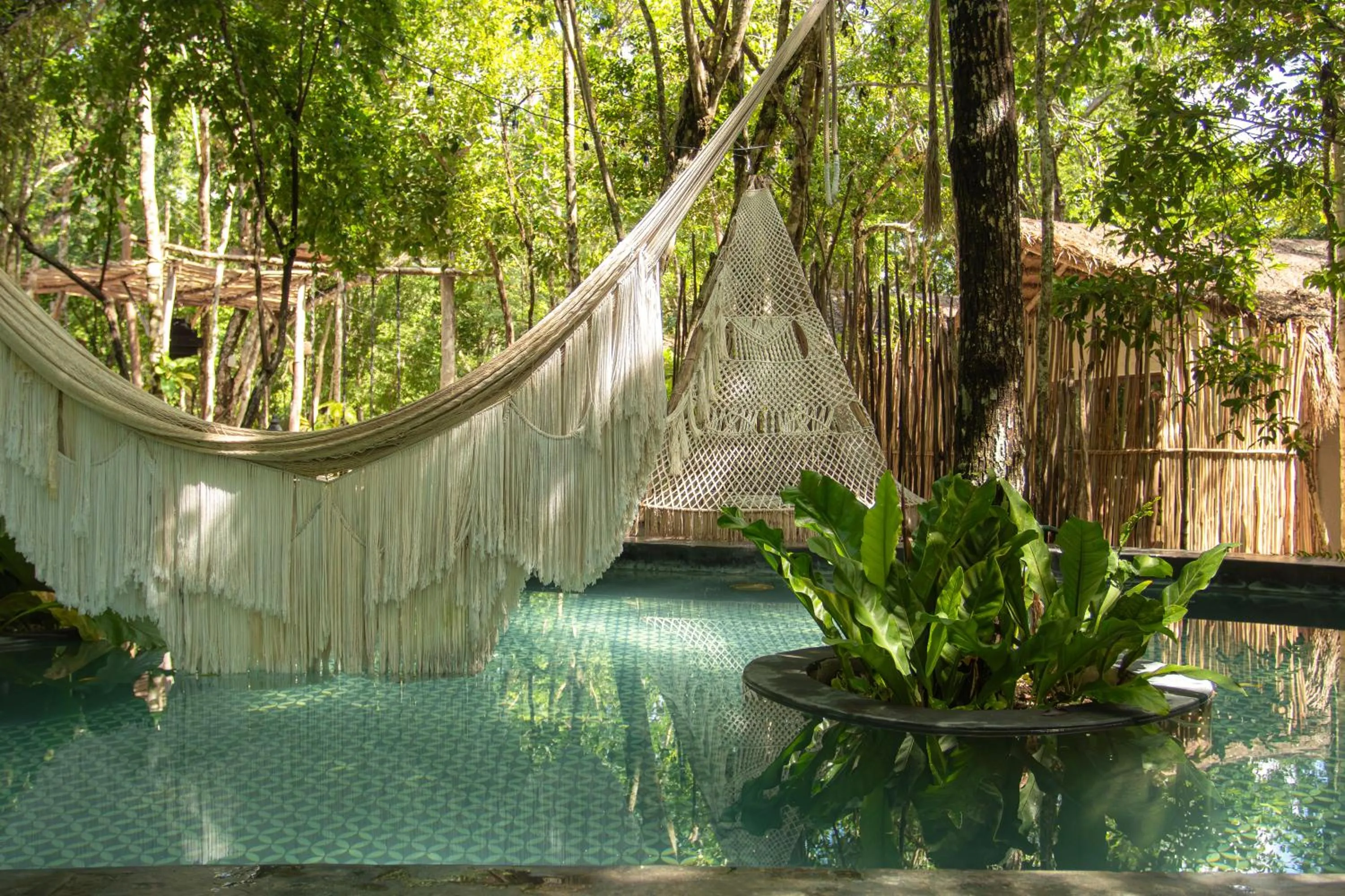 Natural landscape in The Yellow Nest Tulum