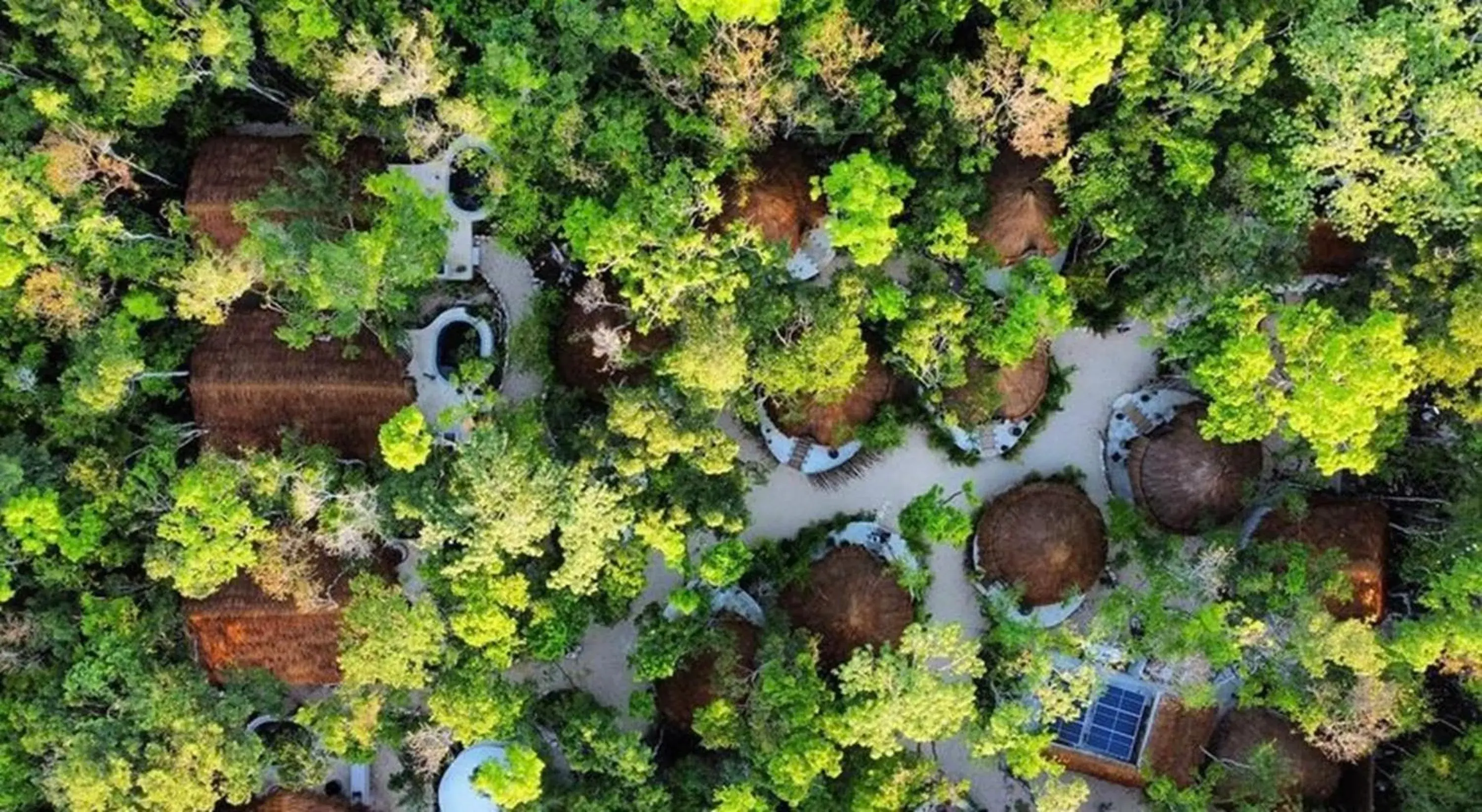 Property building in The Yellow Nest Tulum Property building in The Yellow Nest Tulum
