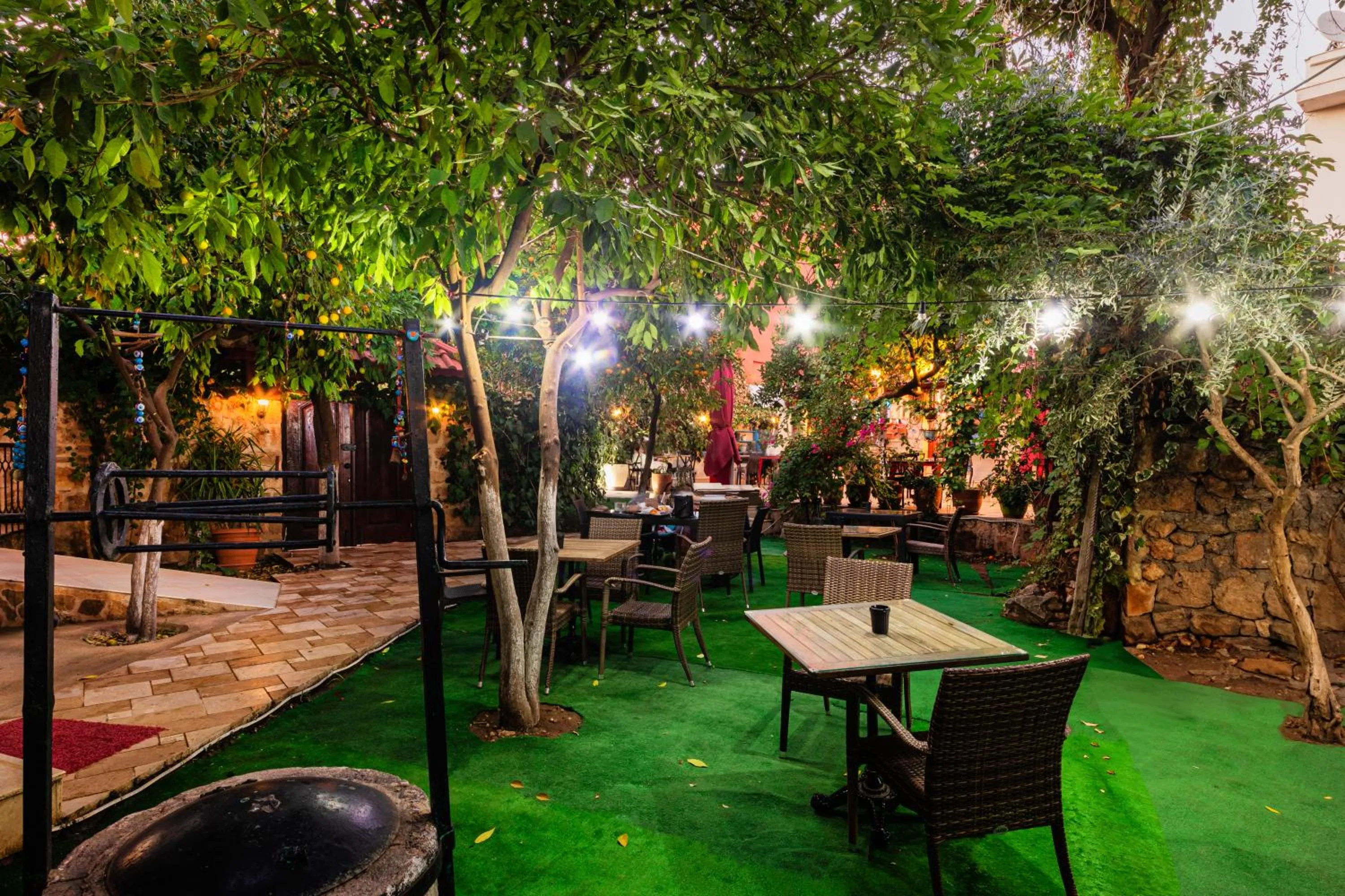 Garden view in Zemira Garden Hotel