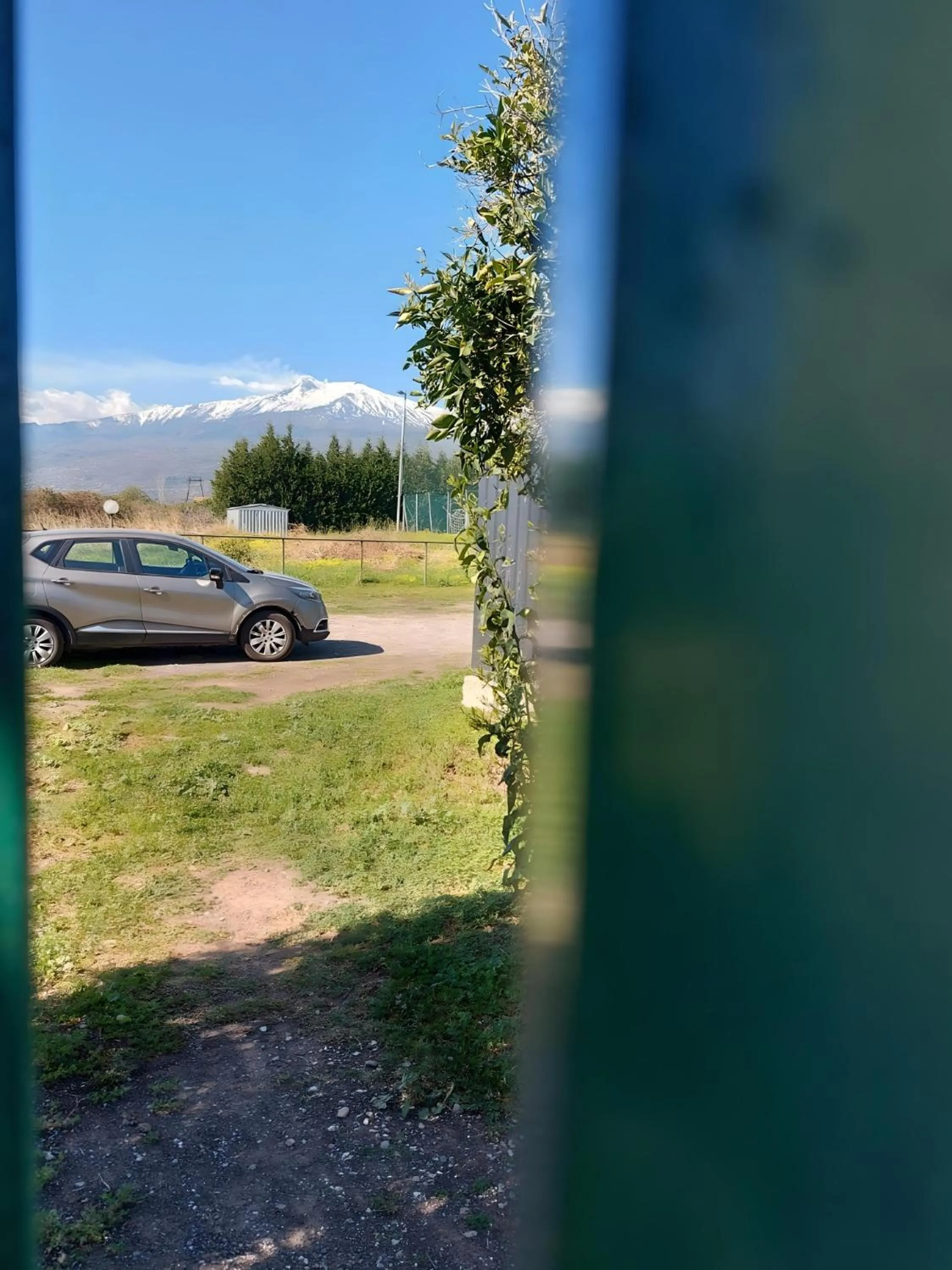 Garden in Villa Nadira