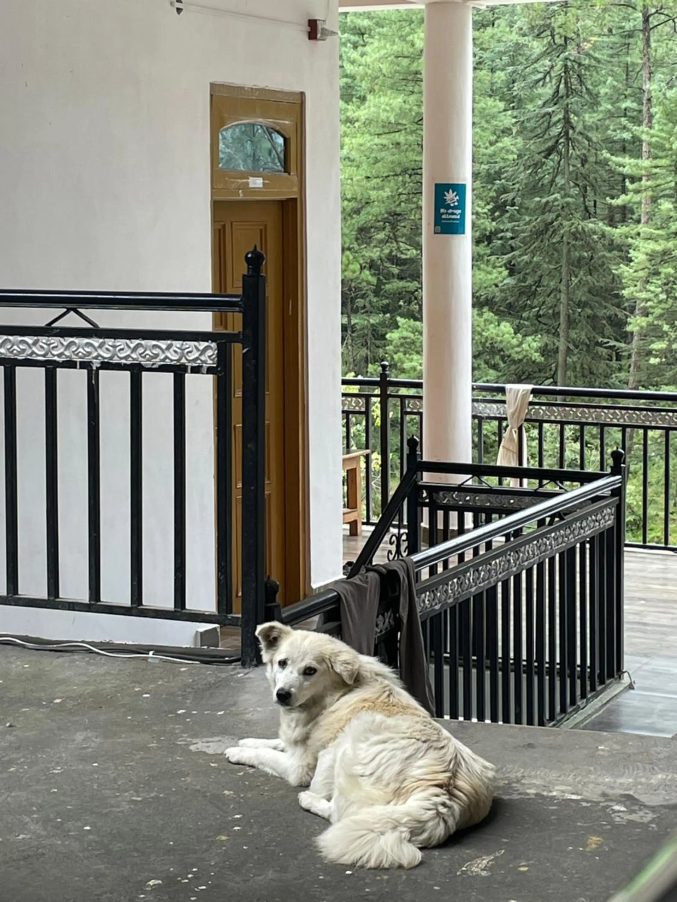 Wabi Sabi Riverside Hostel