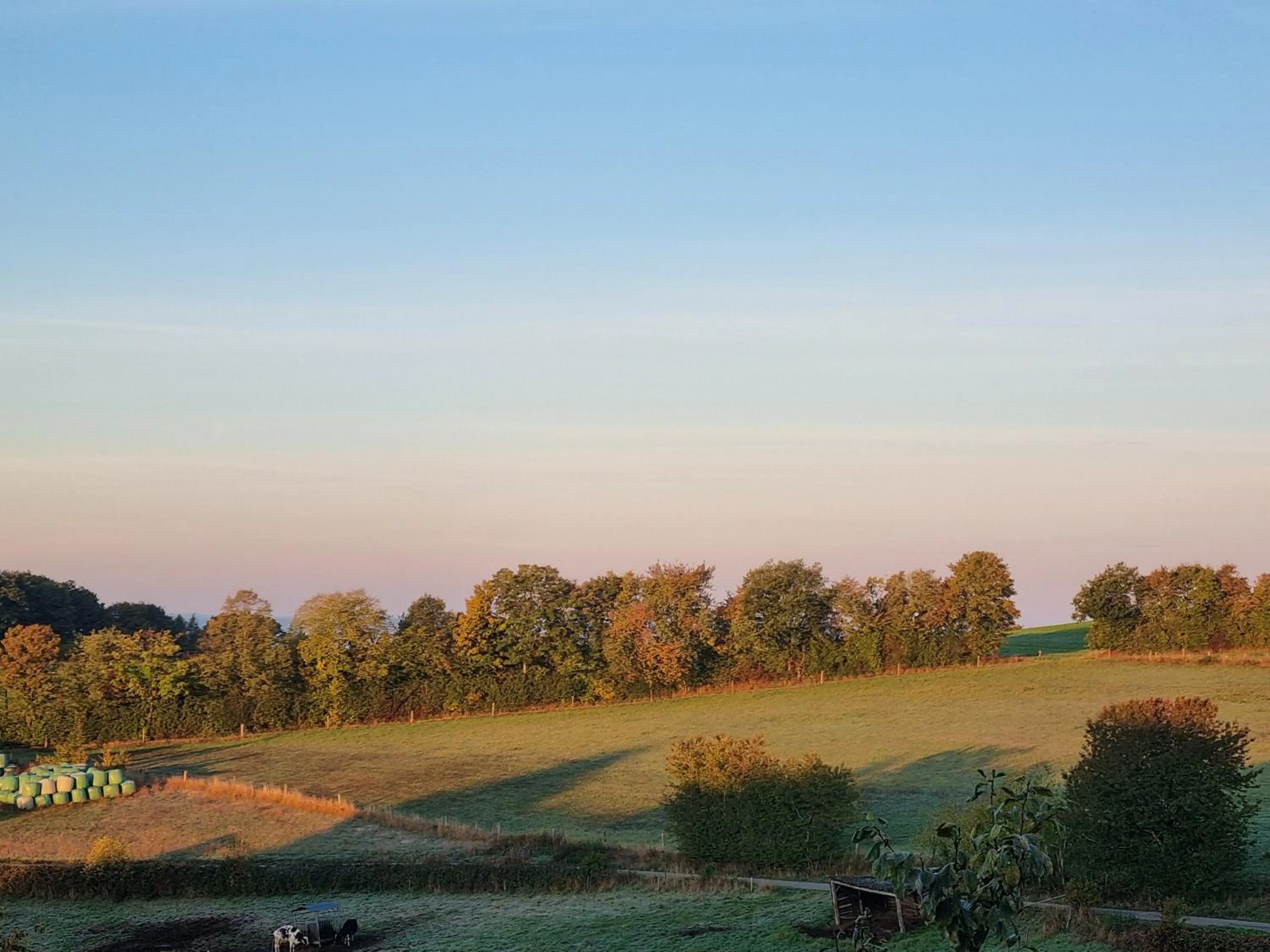 Natural landscape in CJS Apartments - Chill or Drive am Nürburgring, Free Parking, WLan, Spacious Rooms, Quiet Location