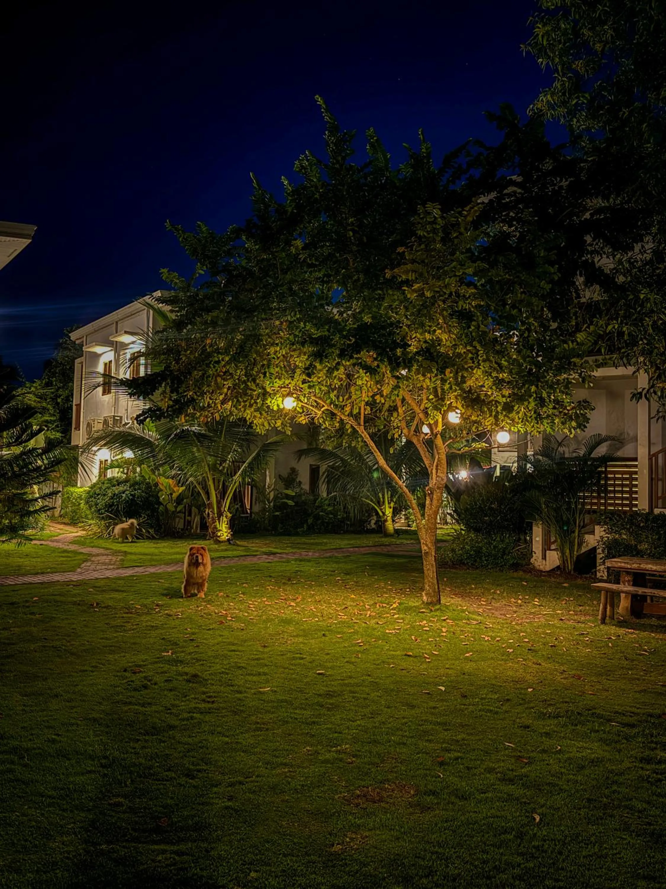 Red Picnic Hostel Panglao