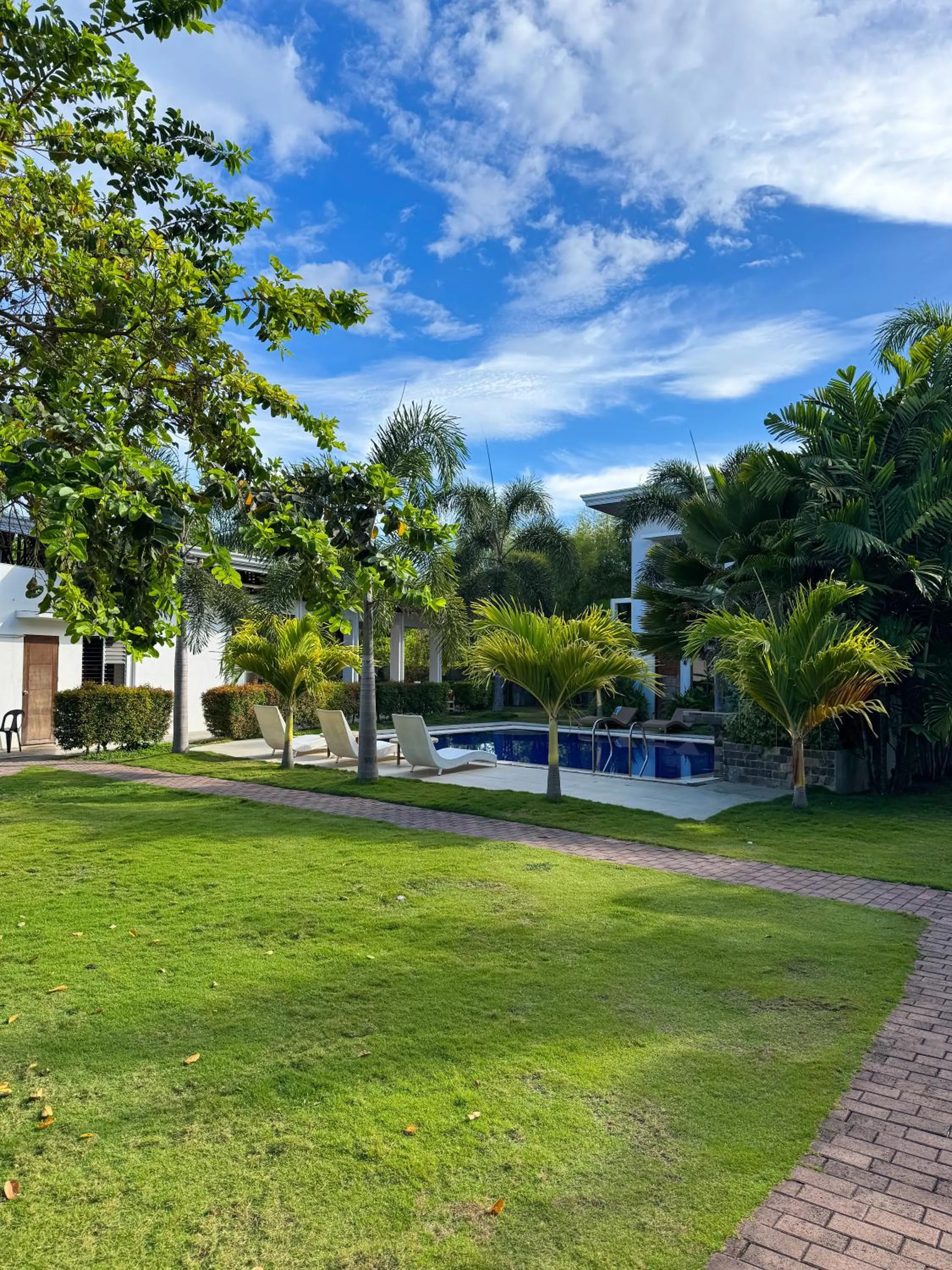 Garden in Red Picnic Hostel Panglao