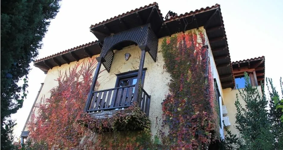 Mansion Viglatoras