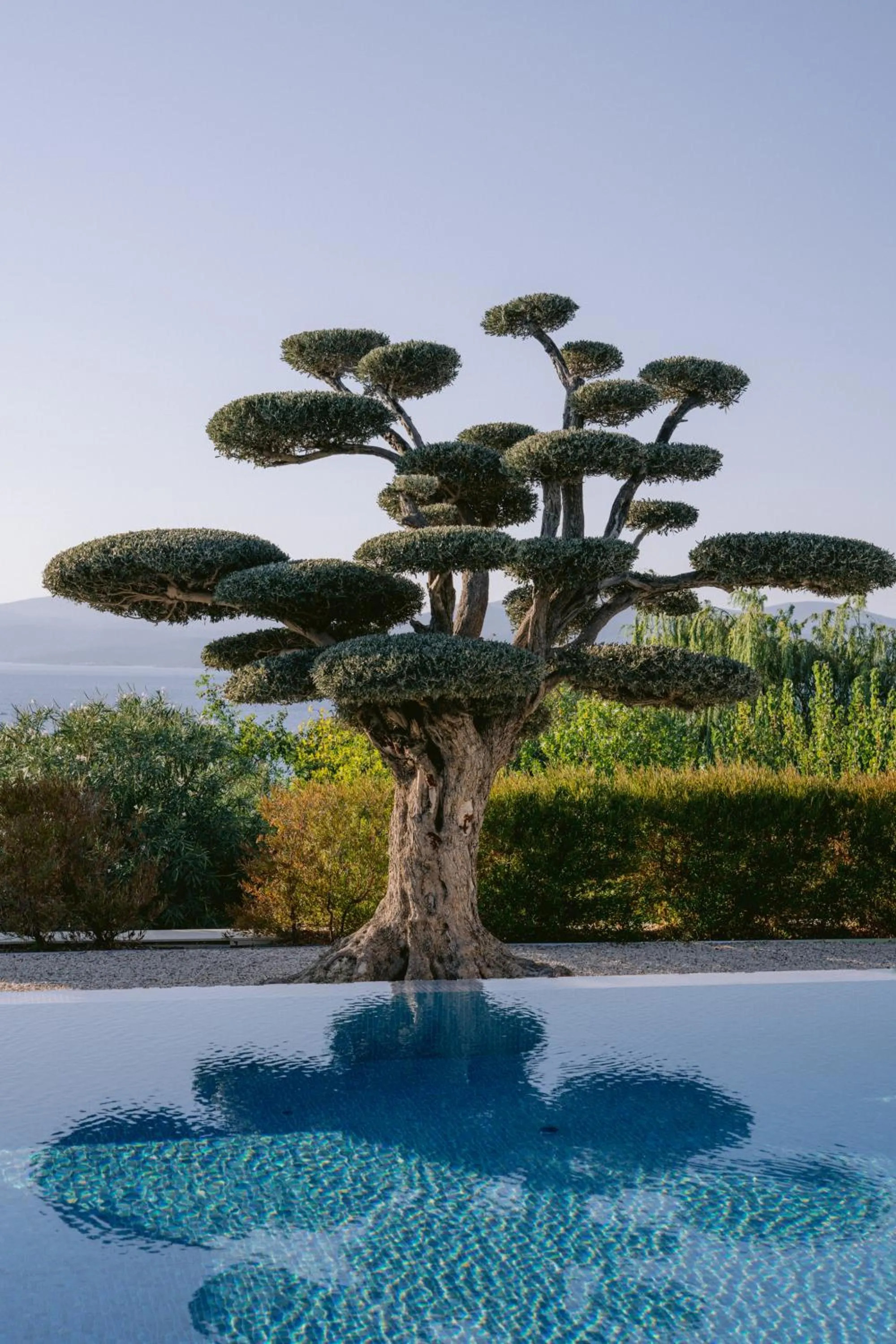 Natural landscape in Hiddenbay Teos Hotel