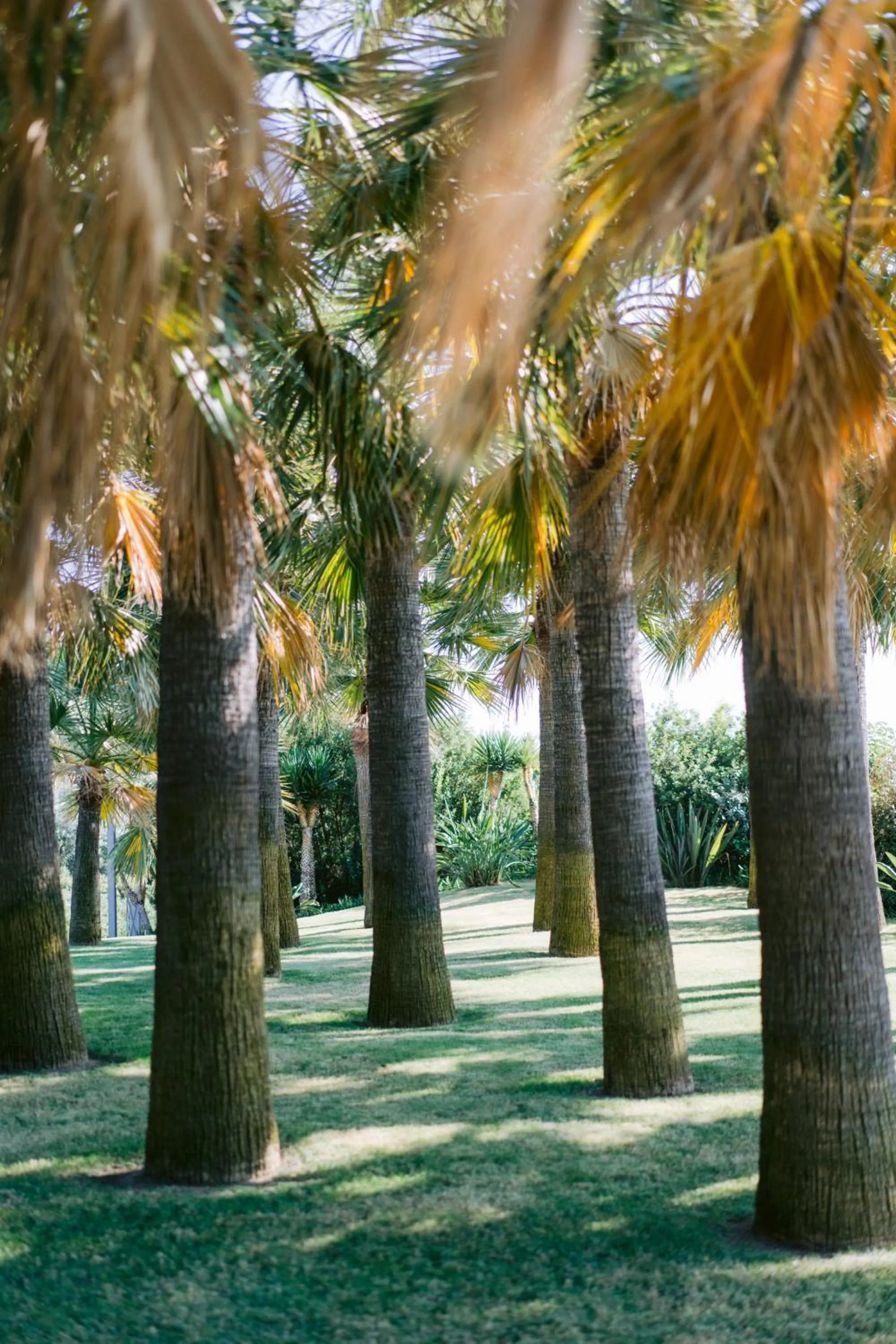 Day in Hiddenbay Teos Hotel