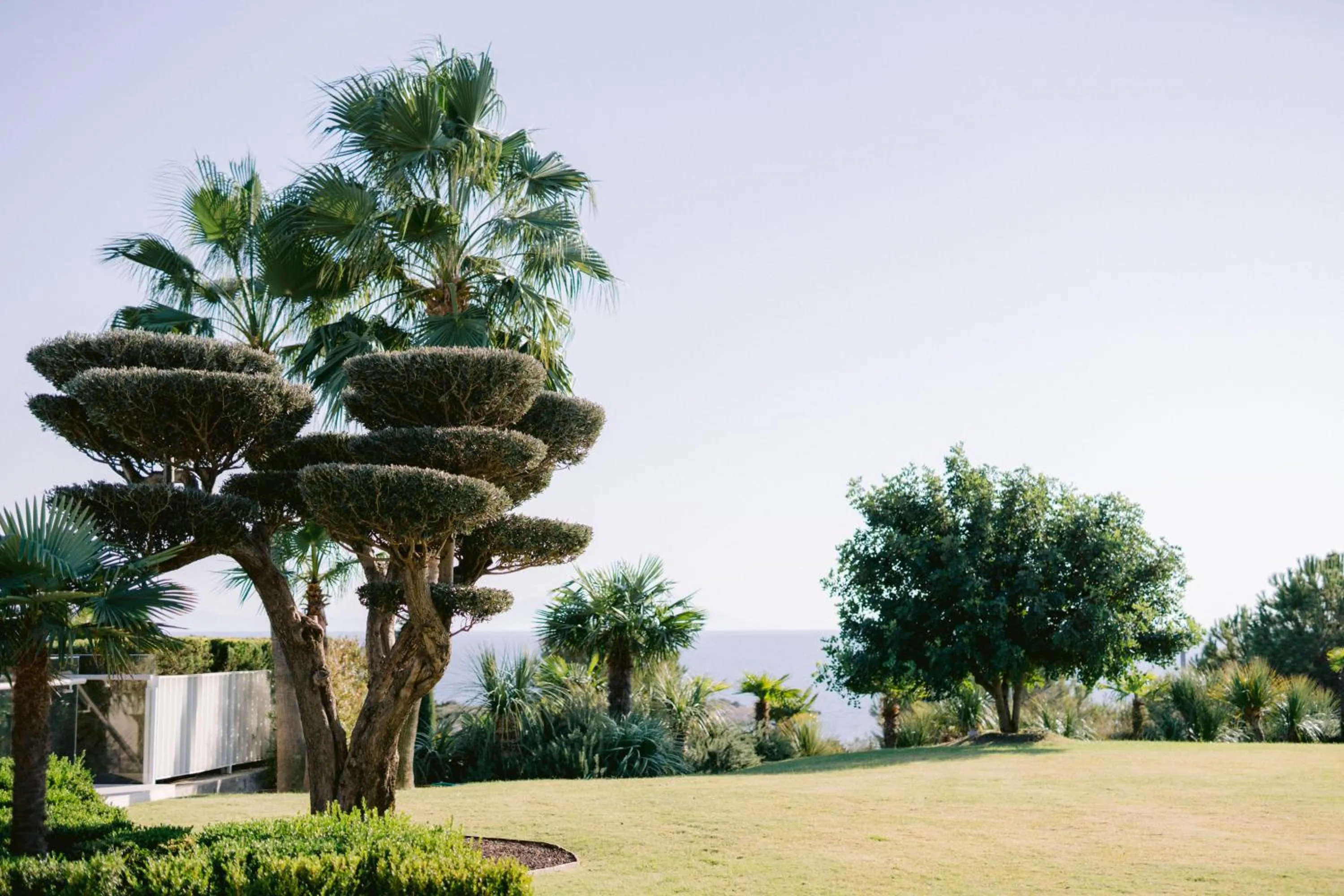 Garden in Hiddenbay Teos Hotel