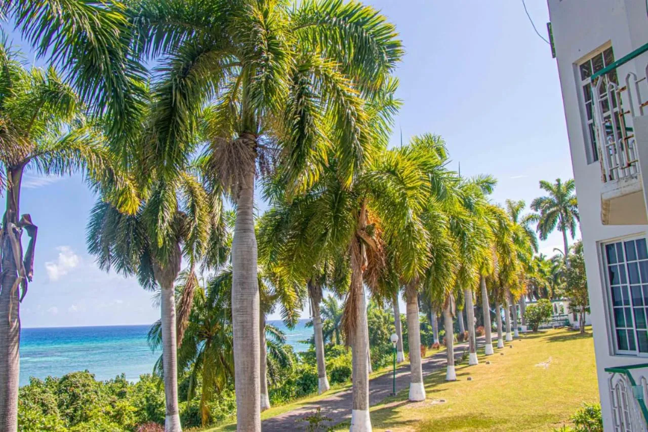 Malibu Ocean View Studio