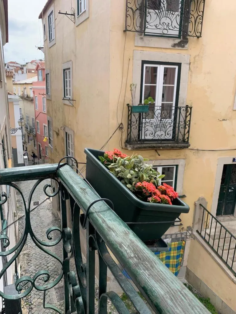 Alfama Vintage 1 Ten guests - Alfama Vintage 2 Five guests - Alfama Vintage 3 Three Guests
