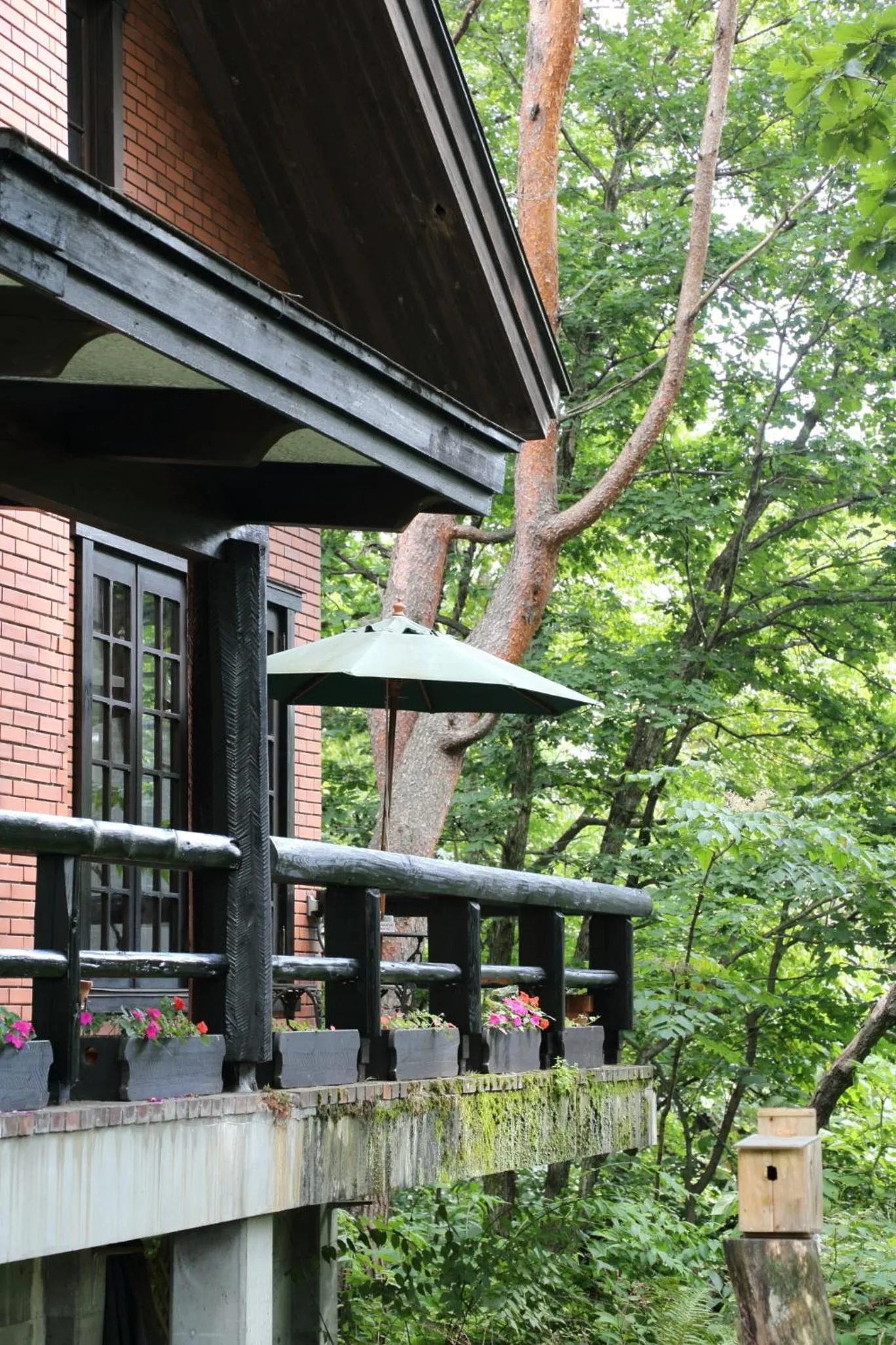 Patio in Pension Belnina