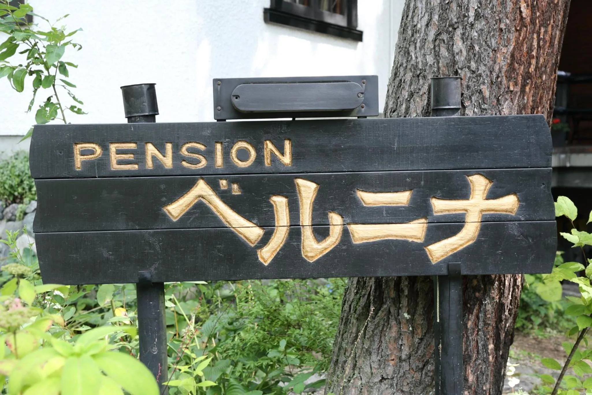 Property logo or sign in Pension Belnina