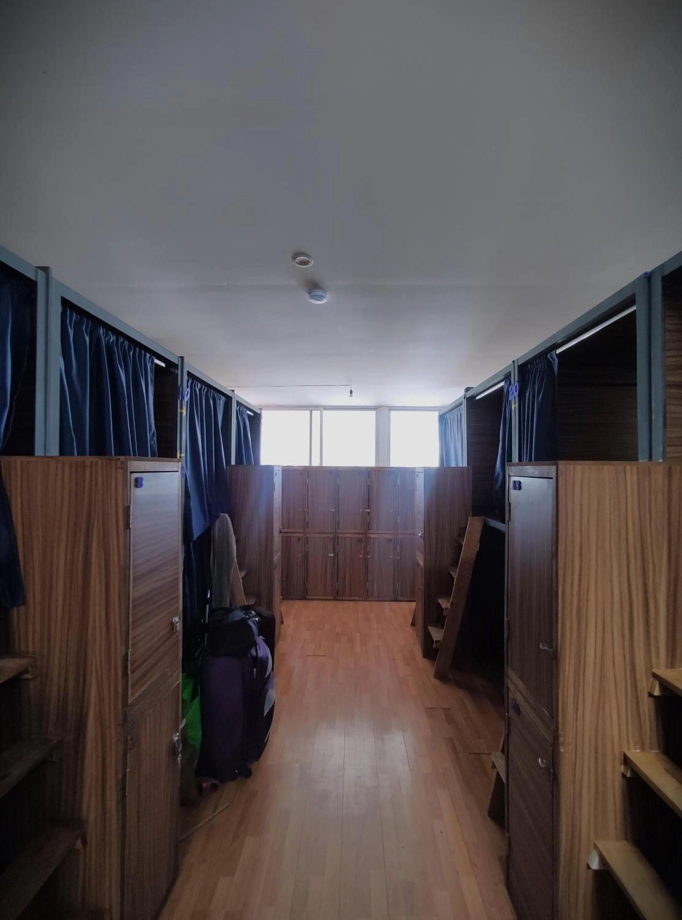 bunk bed in Leveli Coliving