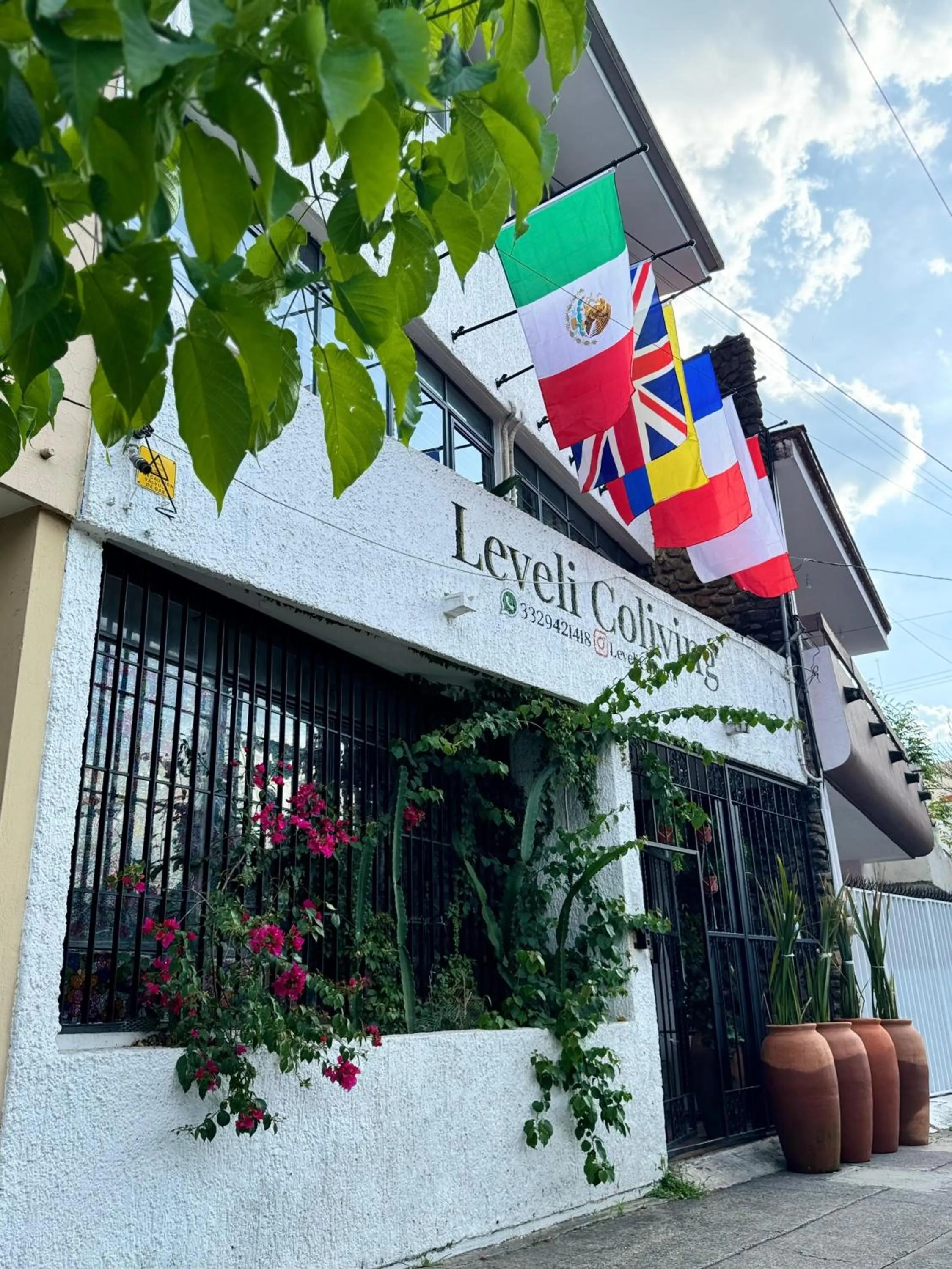 Property building in Leveli Coliving