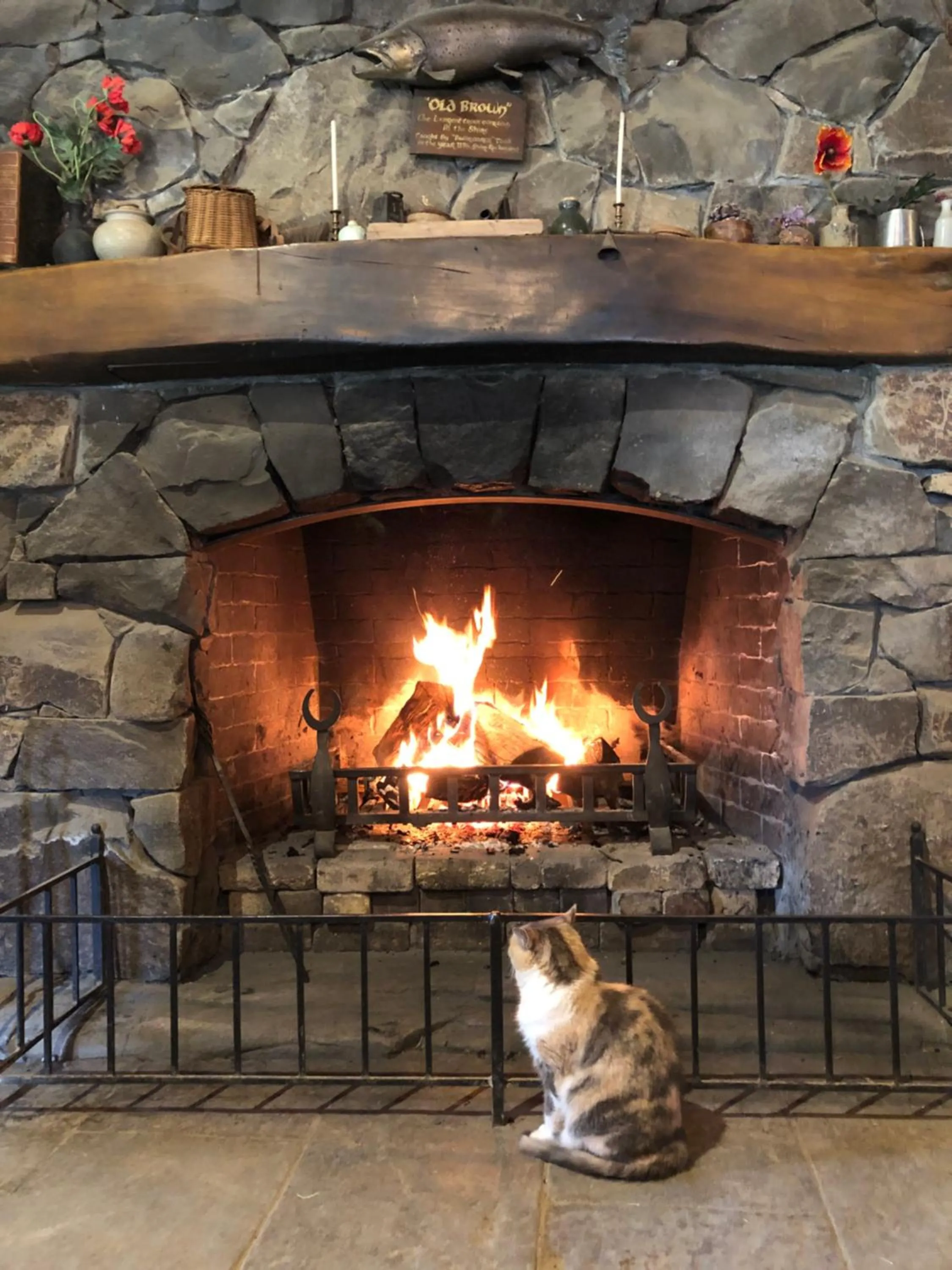 Cosy Country Stay B&B