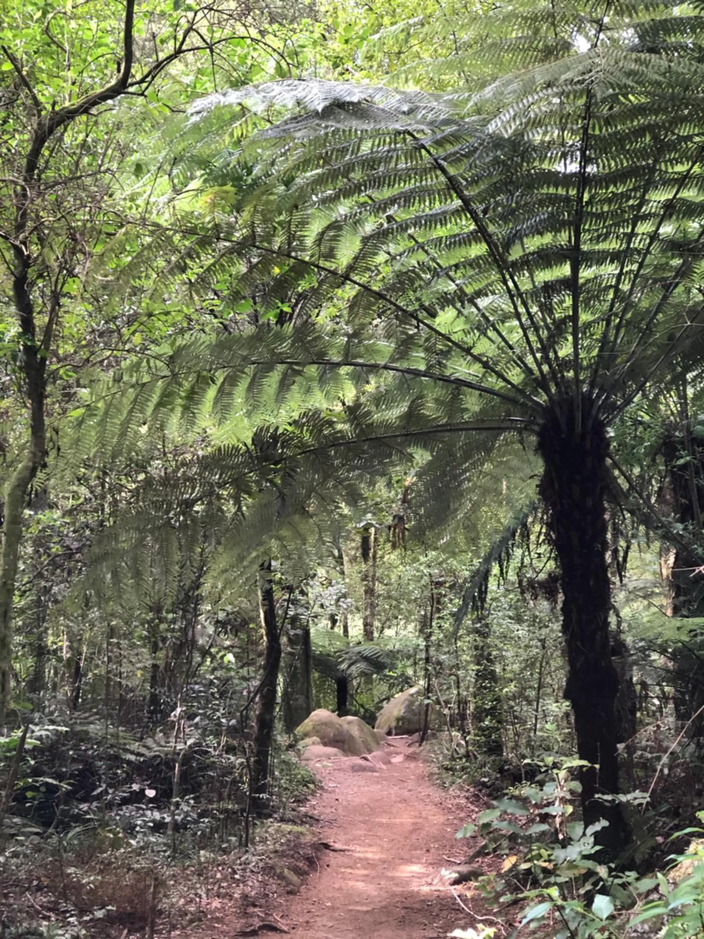 Hiking in Cosy Country Stay B&B
