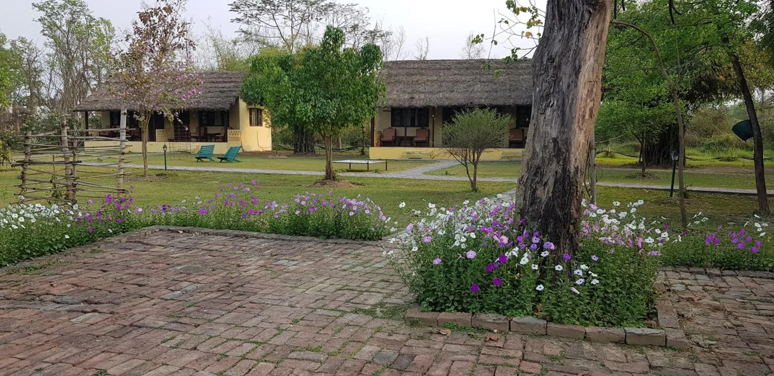 Property building in Lumbini Buddha Garden Resort