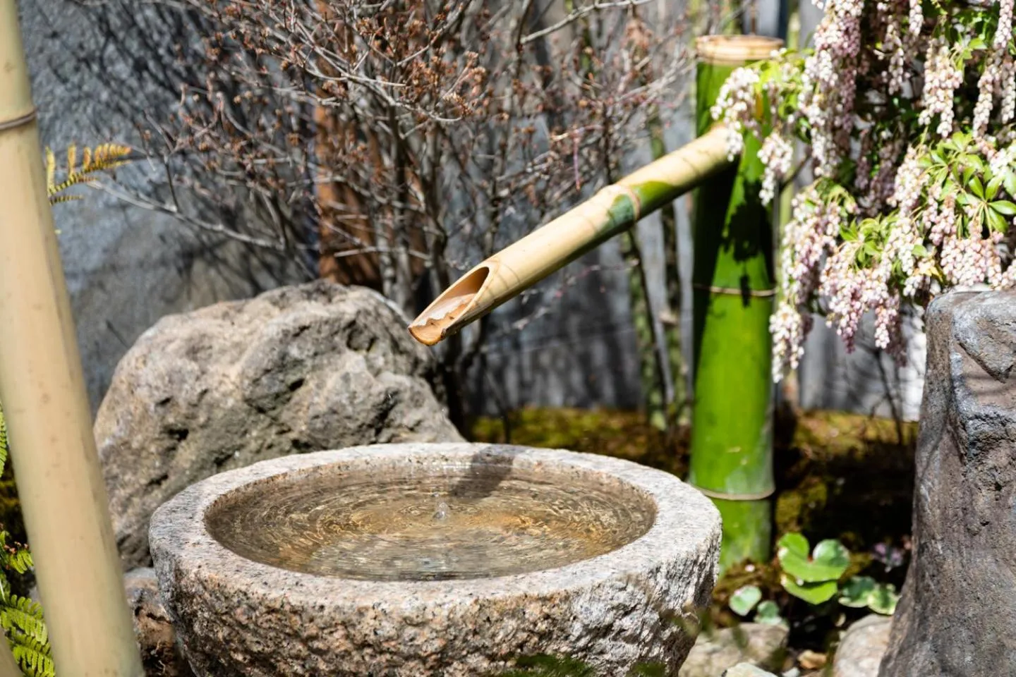 Property building in Hotel Rilassare Tokyo