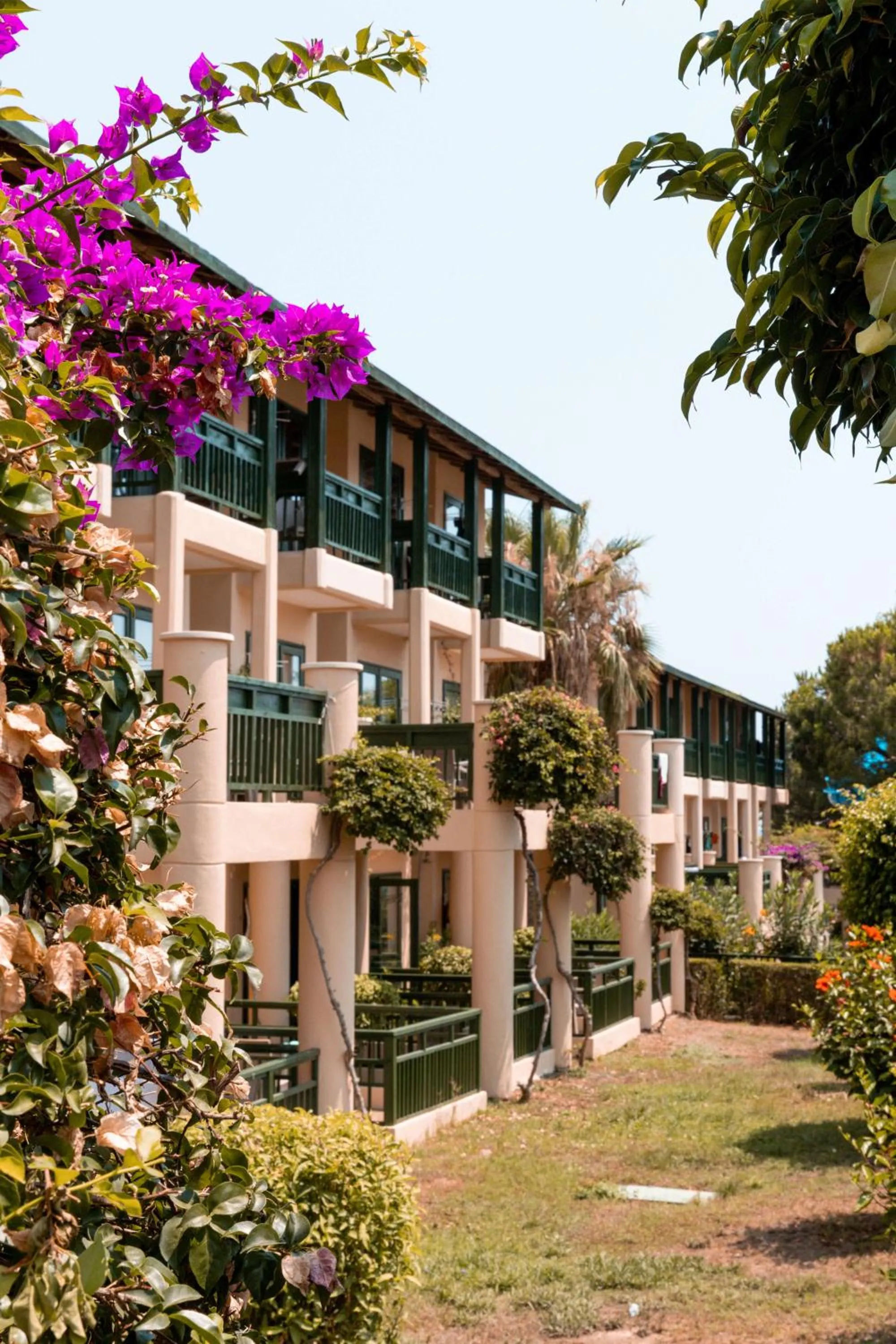 Garden view in Oz Hotels Incekum Beach