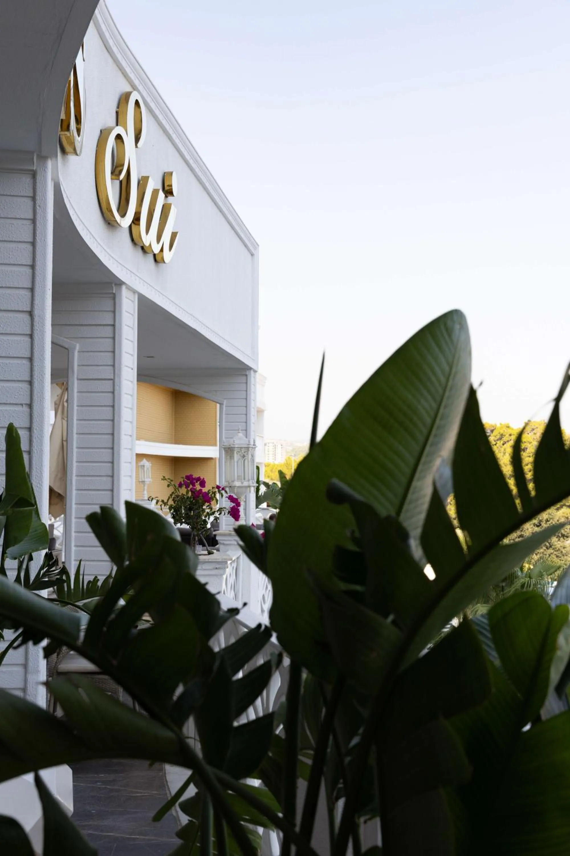 Property building in Oz Hotels Sui