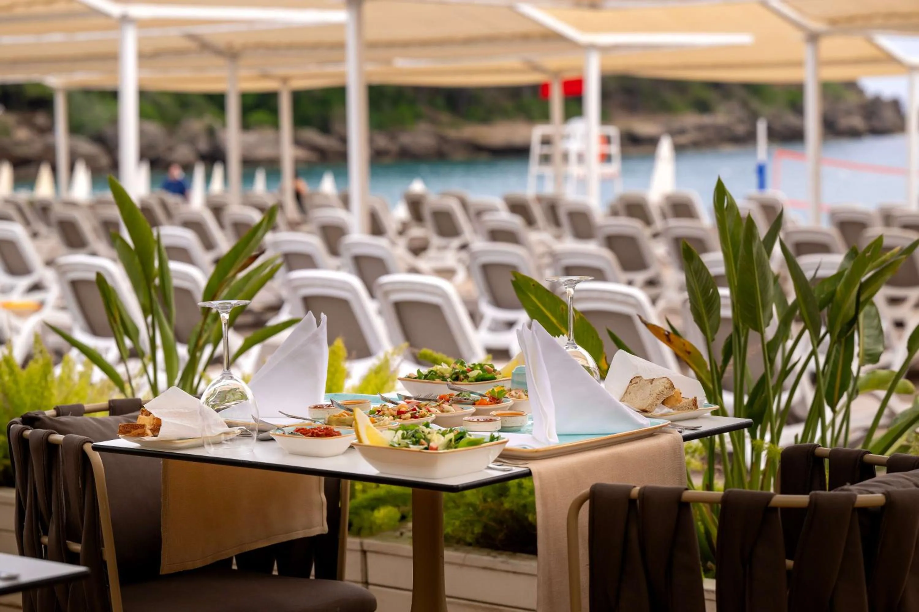 Restaurant/places to eat in Oz Hotels Sui