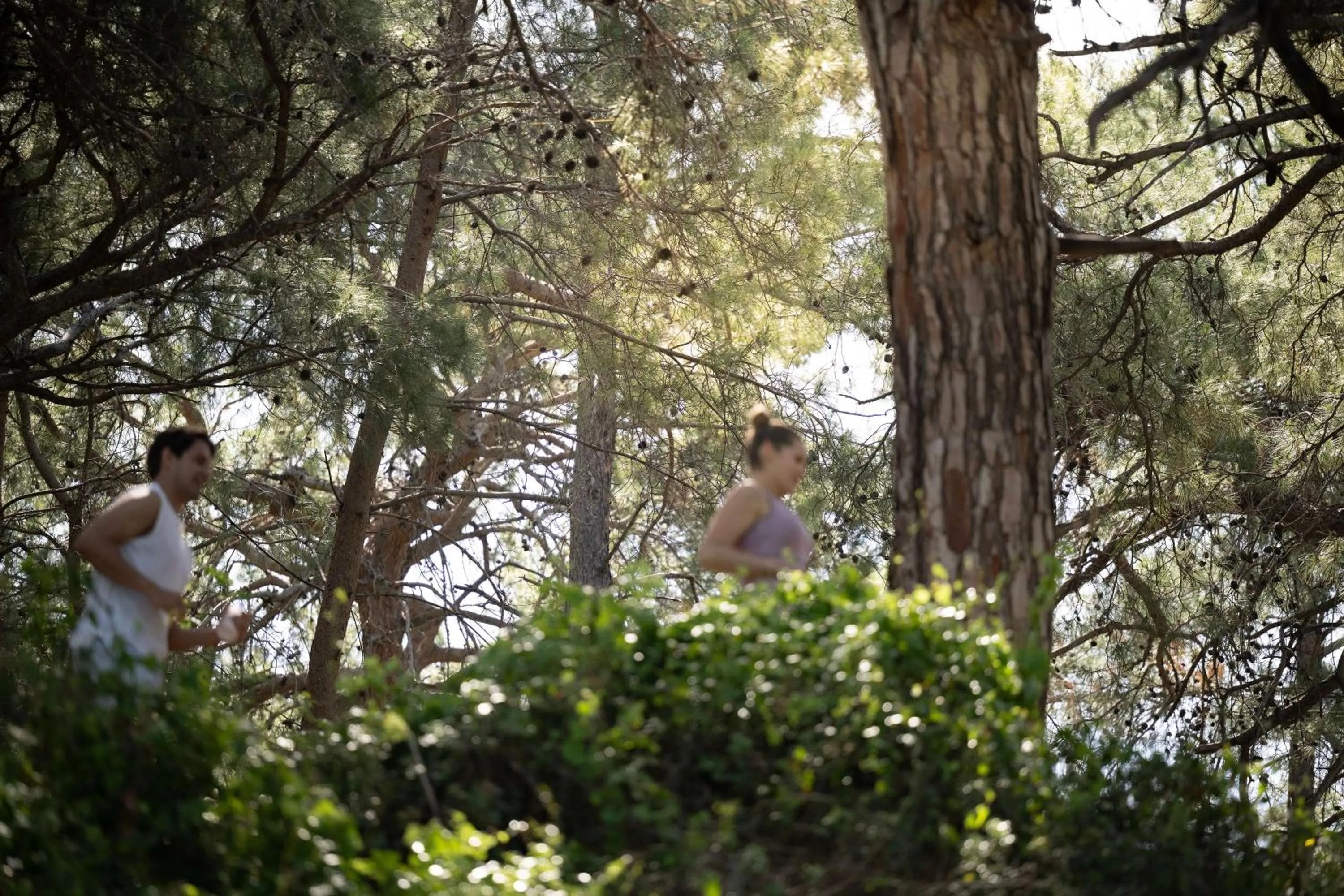 View (from property/room) in Oz Hotels Sui