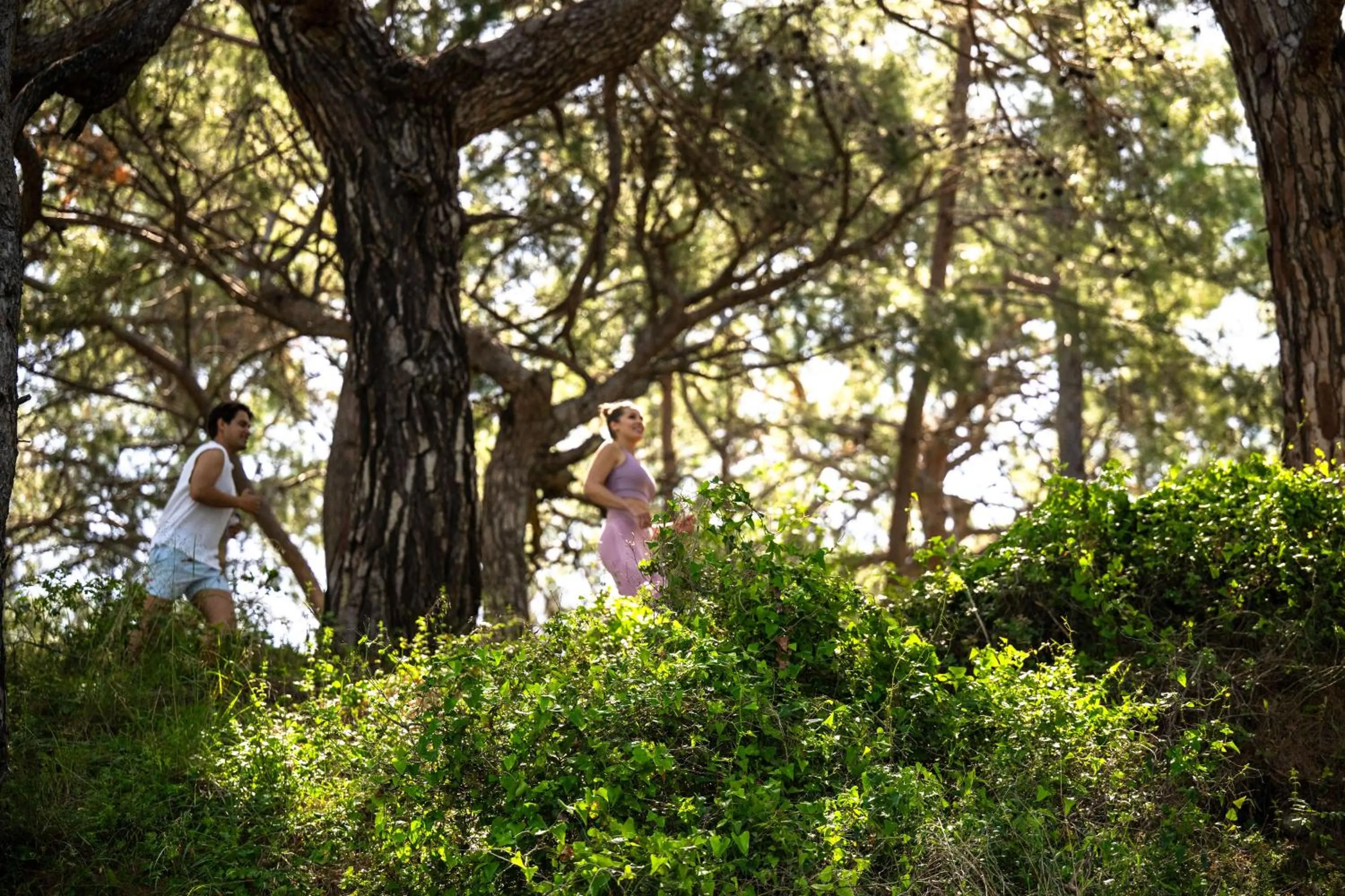 Natural landscape in Oz Hotels Sui