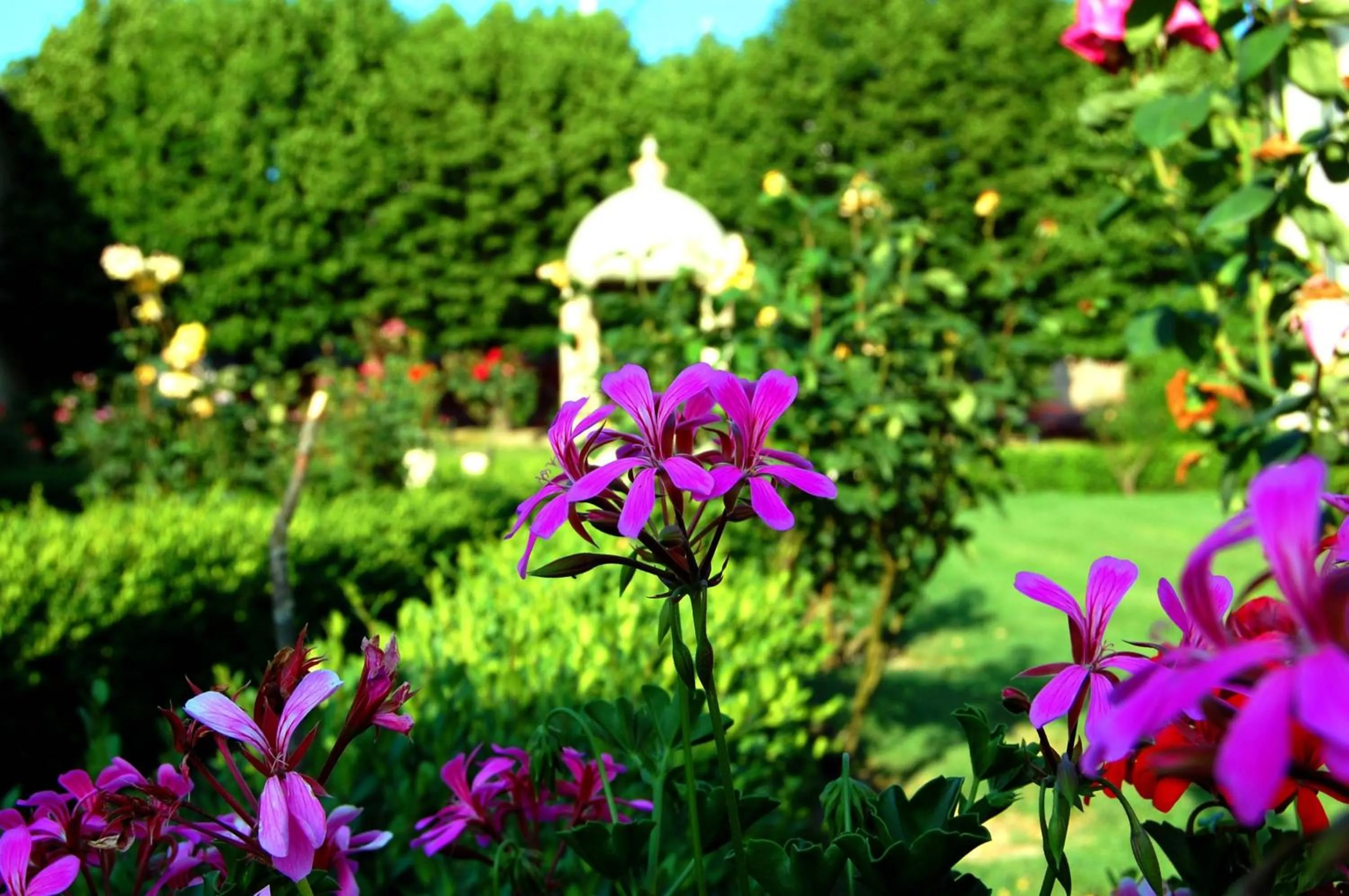 Spring in Hotel Villa San Donino