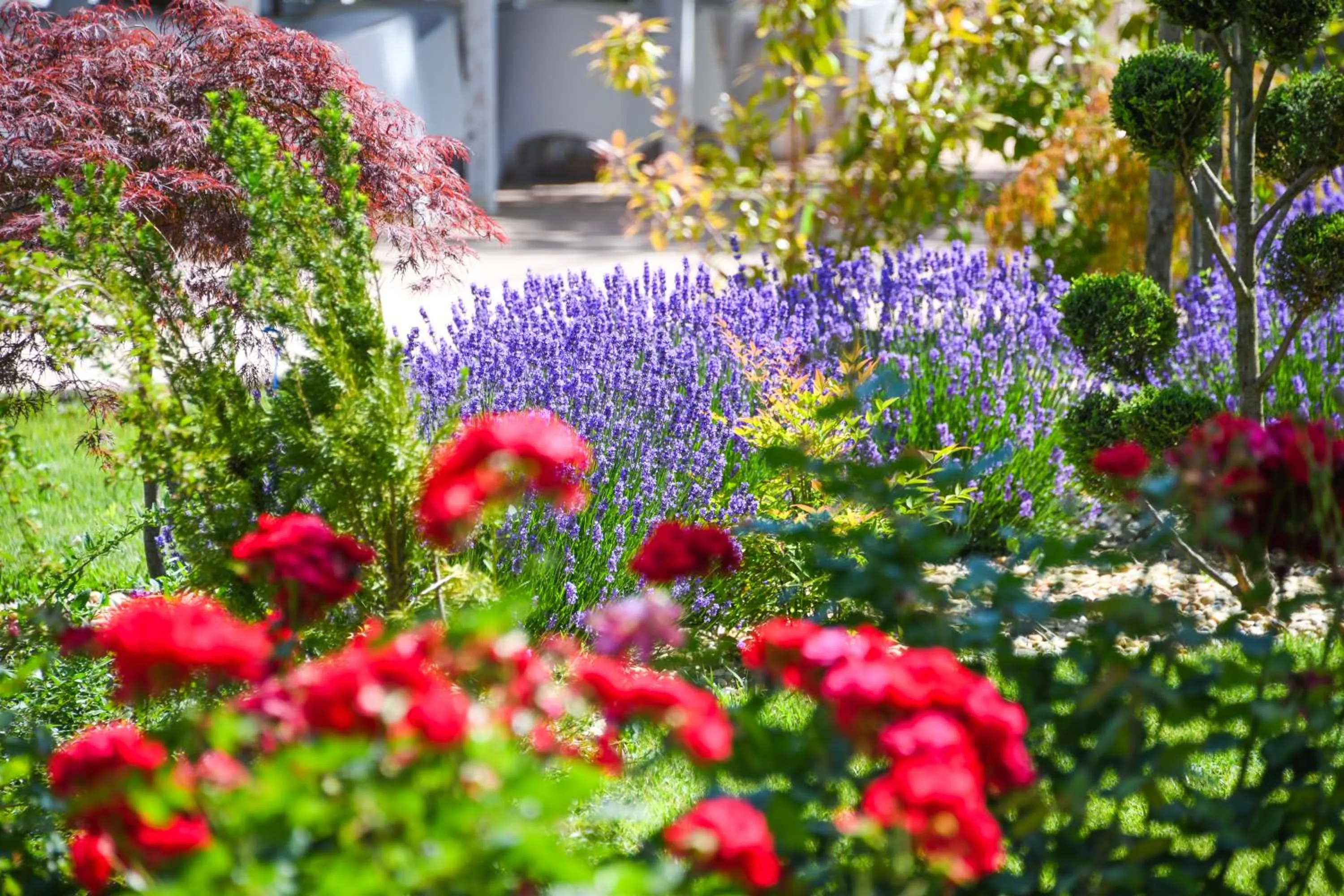 Garden in ibis Styles Venus