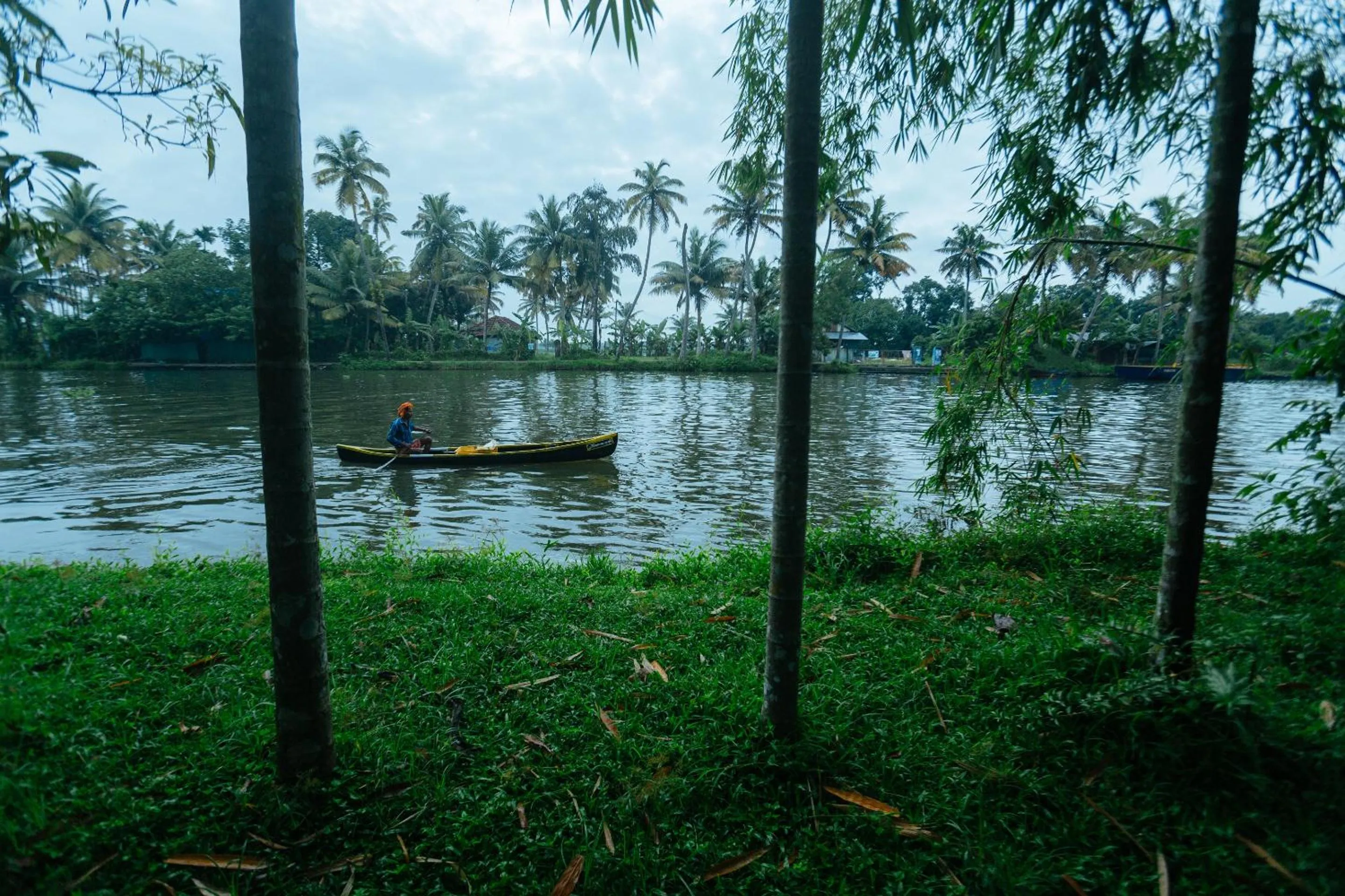 Natural landscape in Palmgrove Lake Resort