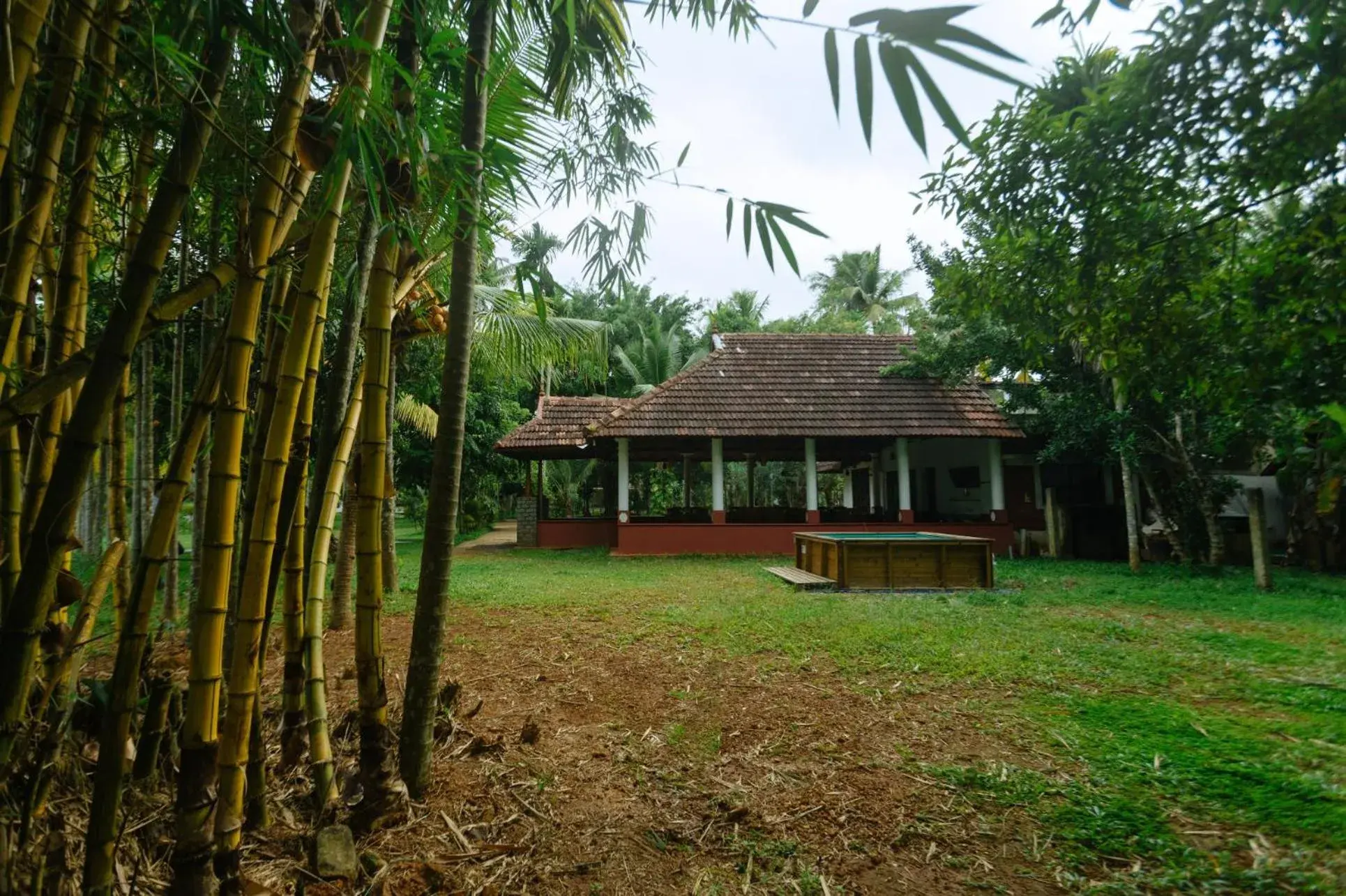 Restaurant/places to eat in Palmgrove Lake Resort Restaurant/places to eat in Palmgrove Lake Resort