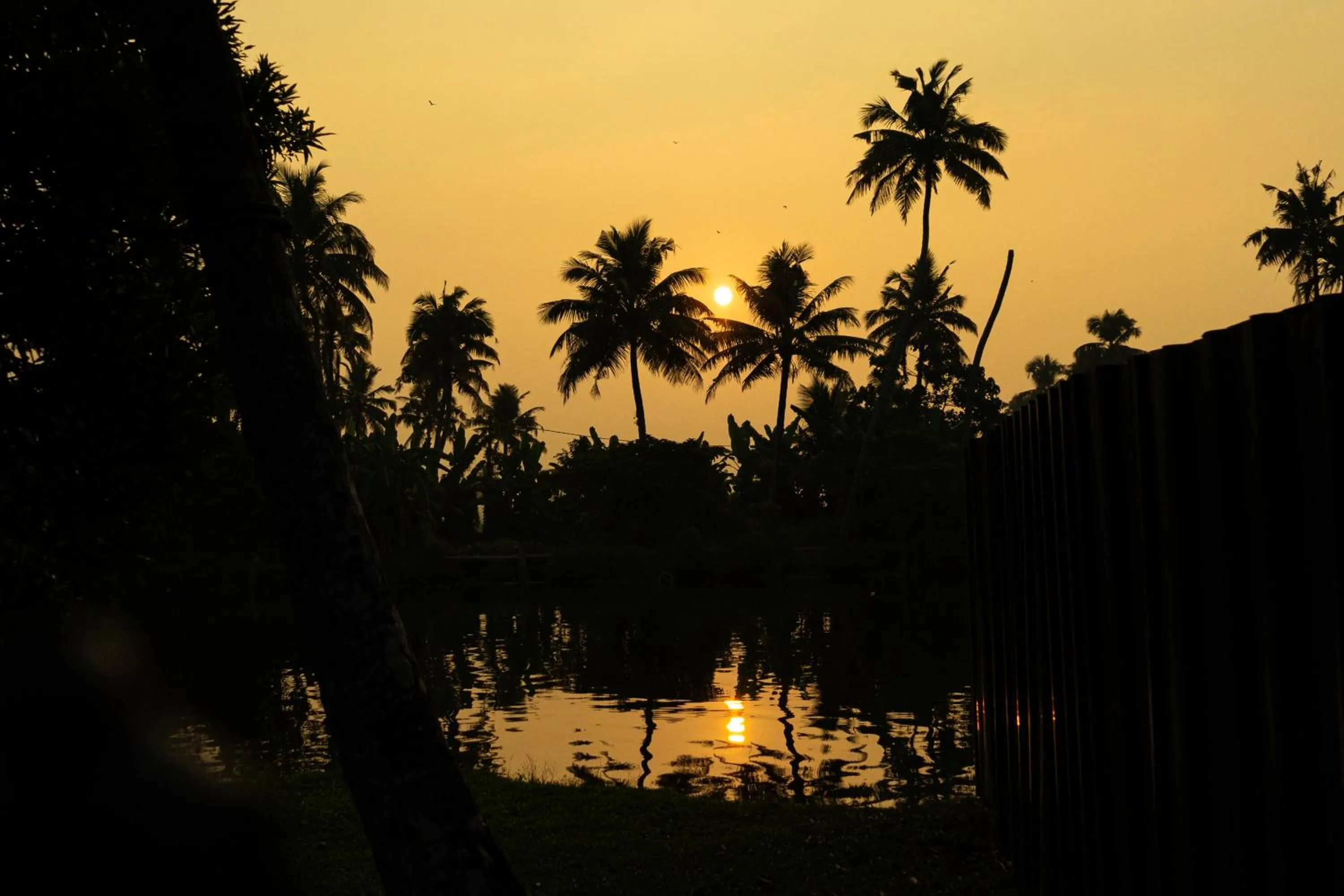 Natural landscape in Palmgrove Lake Resort