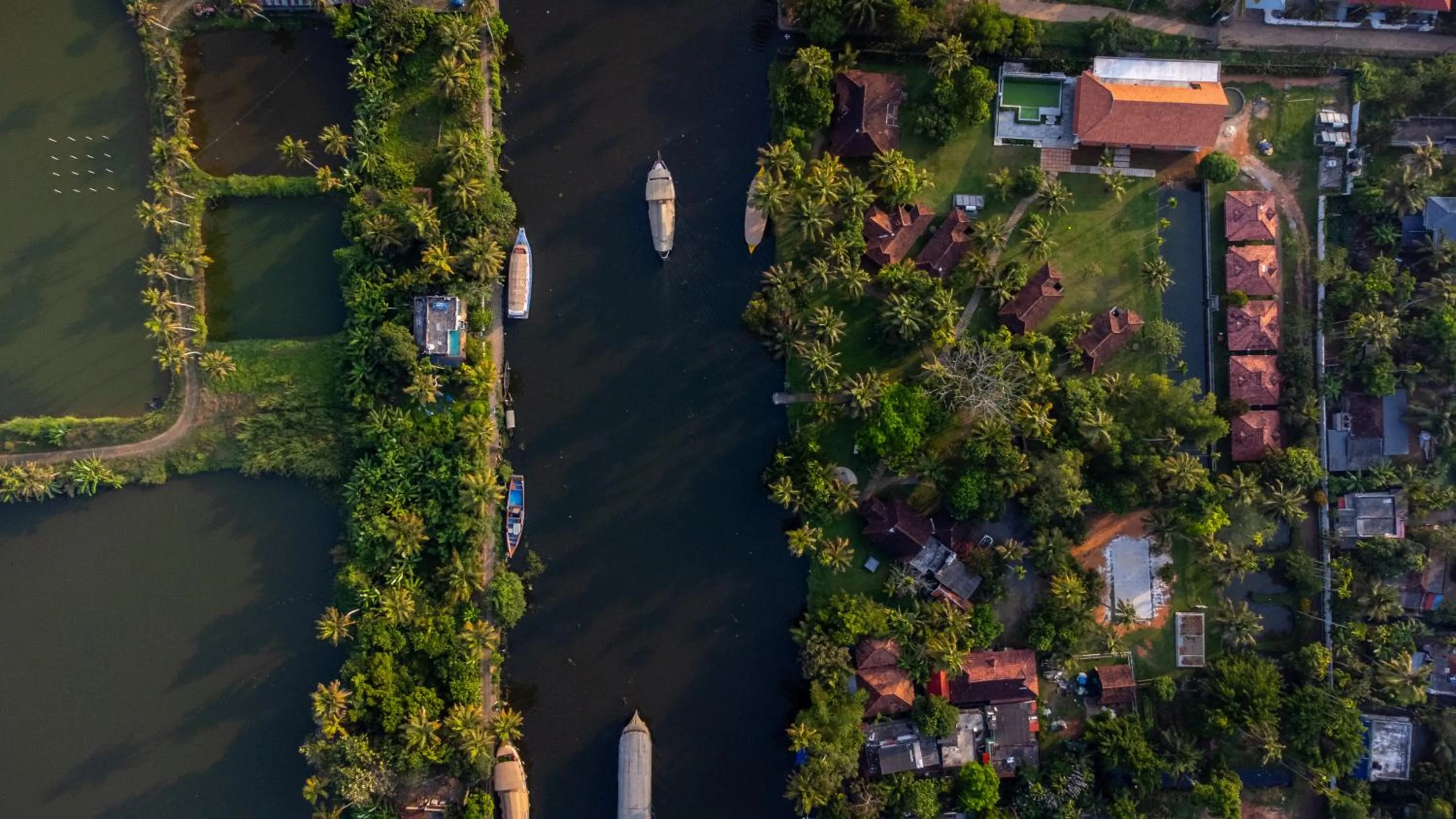 Natural landscape in Palmgrove Lake Resort