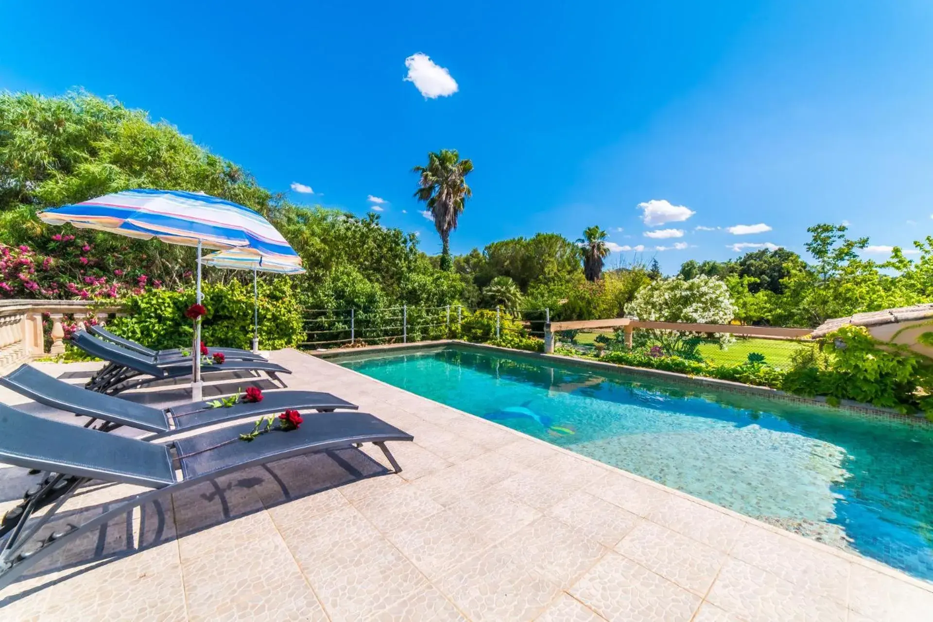 Ideal Property Mallorca - Can Roig Gran Ideal Property Mallorca - Can Roig Gran